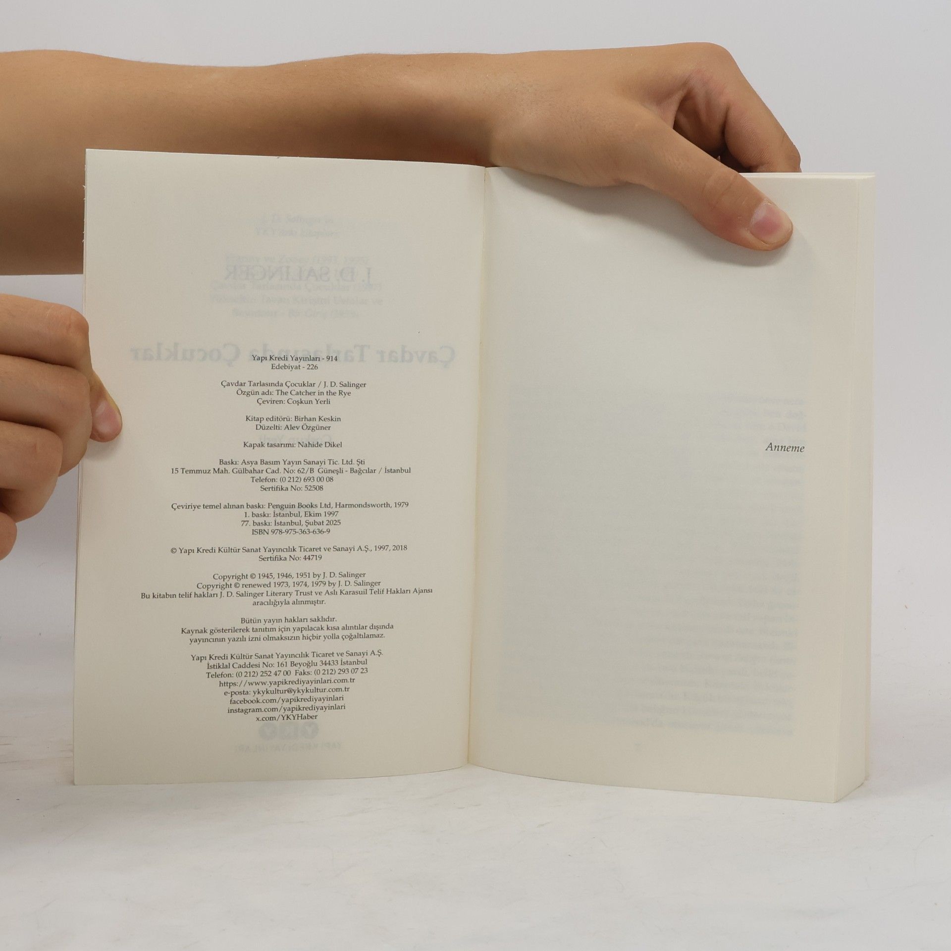 J. D. Salinger Çavdar Tarlasında Çocuklar