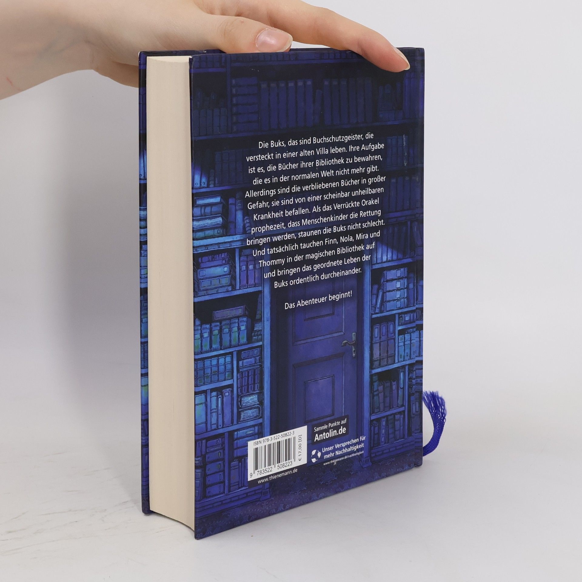 Nina George Die magische Bibliothek der Buks 1: Das Verrückte Orakel