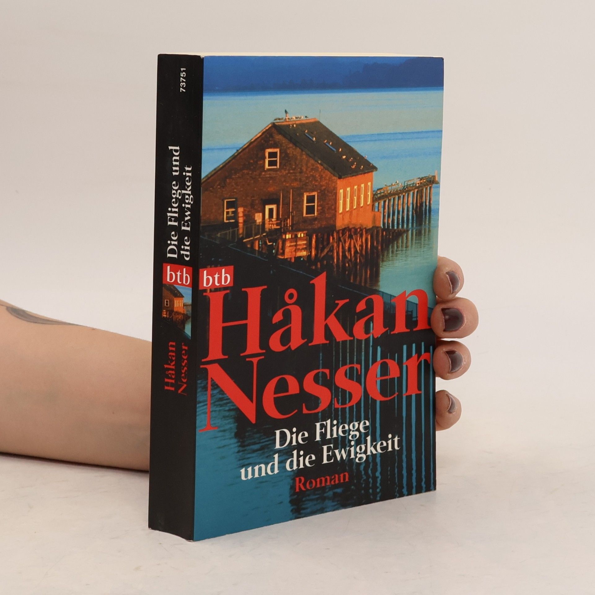 Håkan Nesser Die Fliege und die Ewigkeit