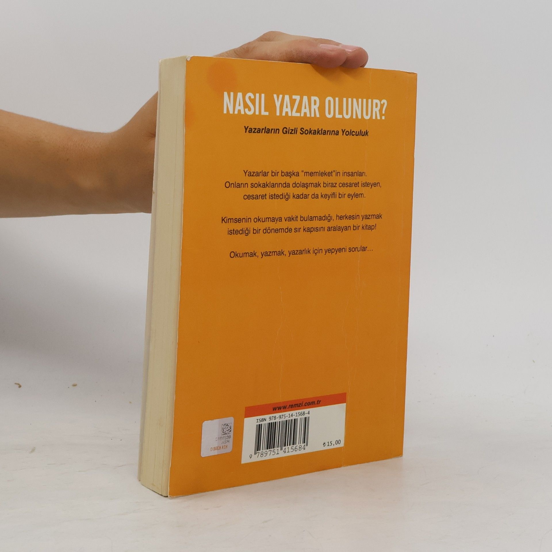 Enver Aysever Nasıl Yazar Olunur?