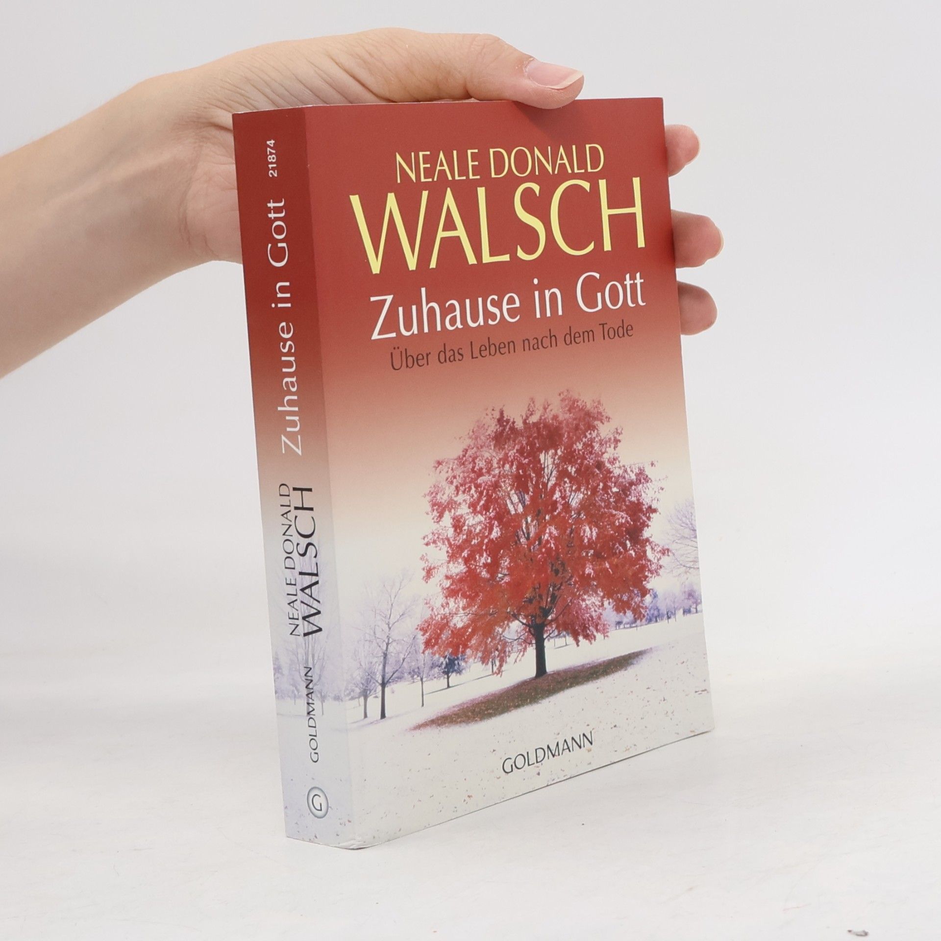 Neale Donald Walsch Zuhause in Gott