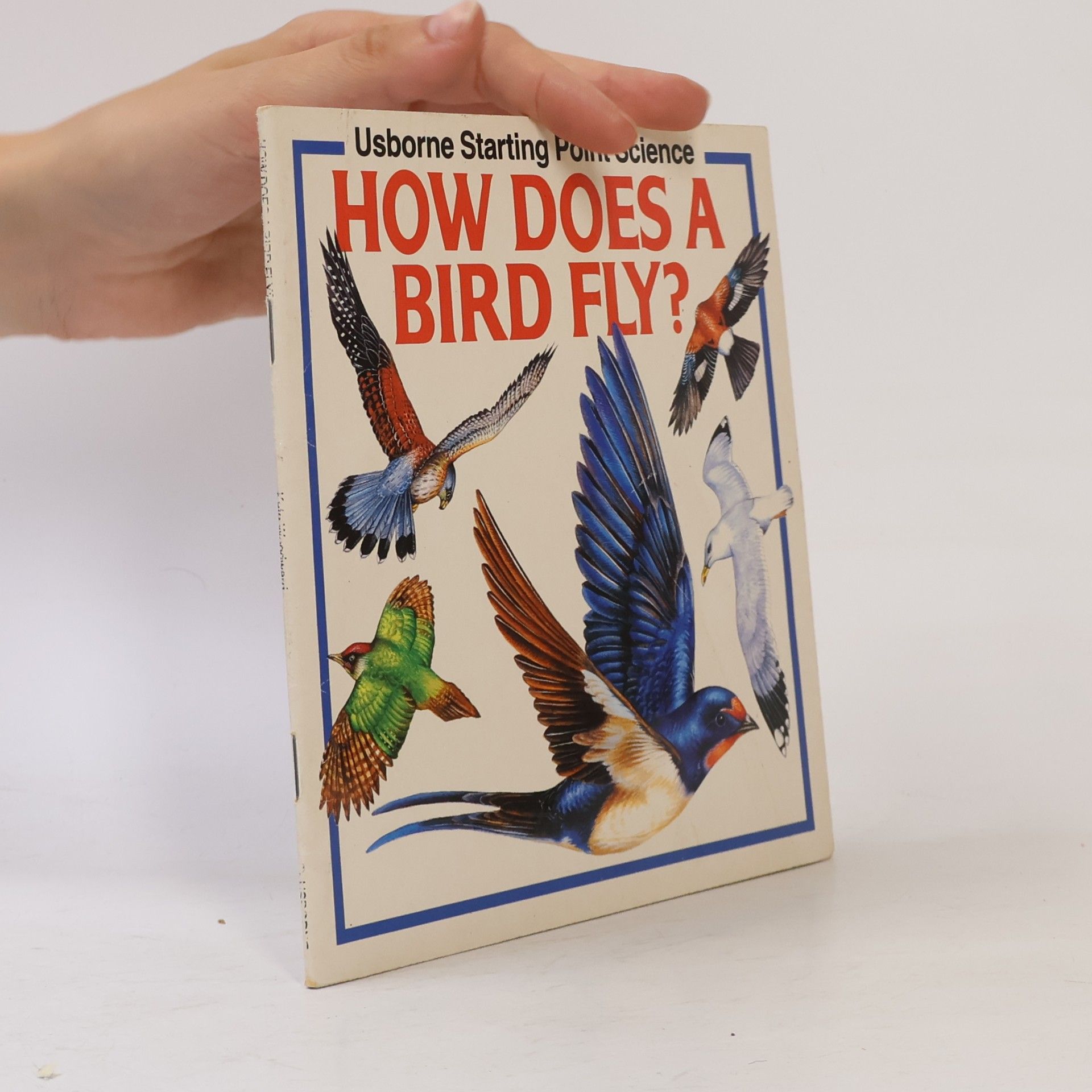 Kate Woodward Usborne Starting Point Science: How Does a Bird Fly?