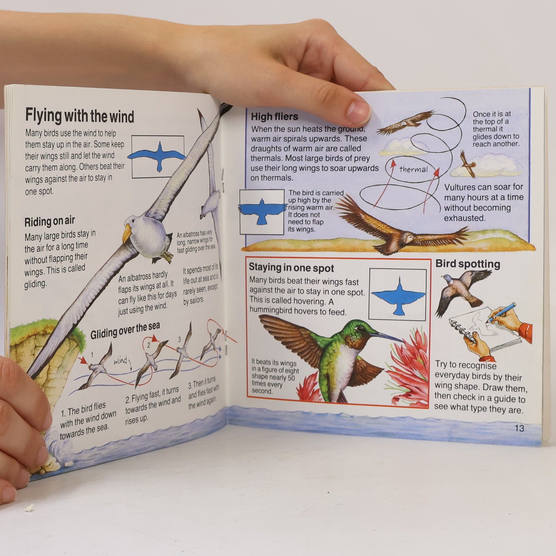 Susan Mayes Usborne Starting Point Science: How Does a Bird Fly?