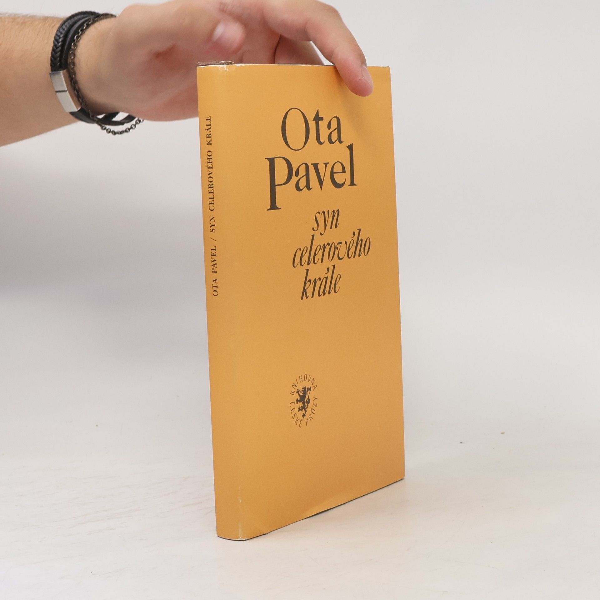Ota Pavel Syn celerového krále
