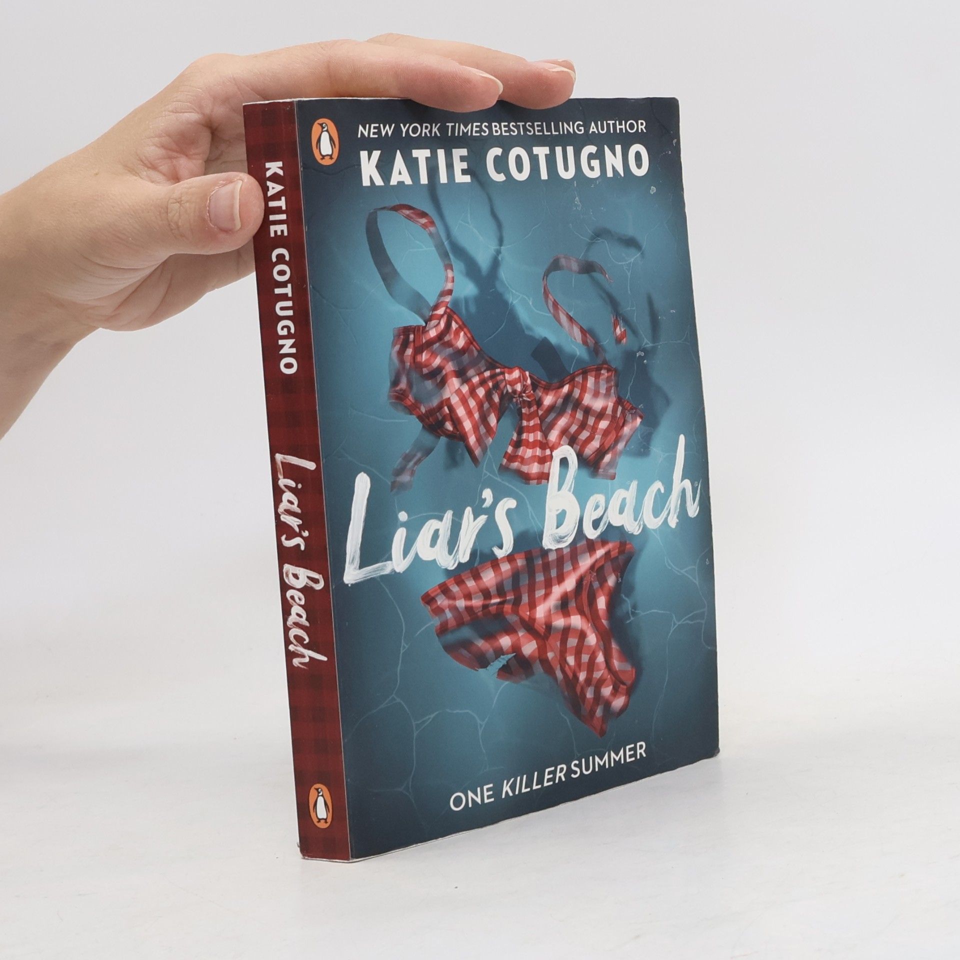 Katie Cotugno Liar's Beach