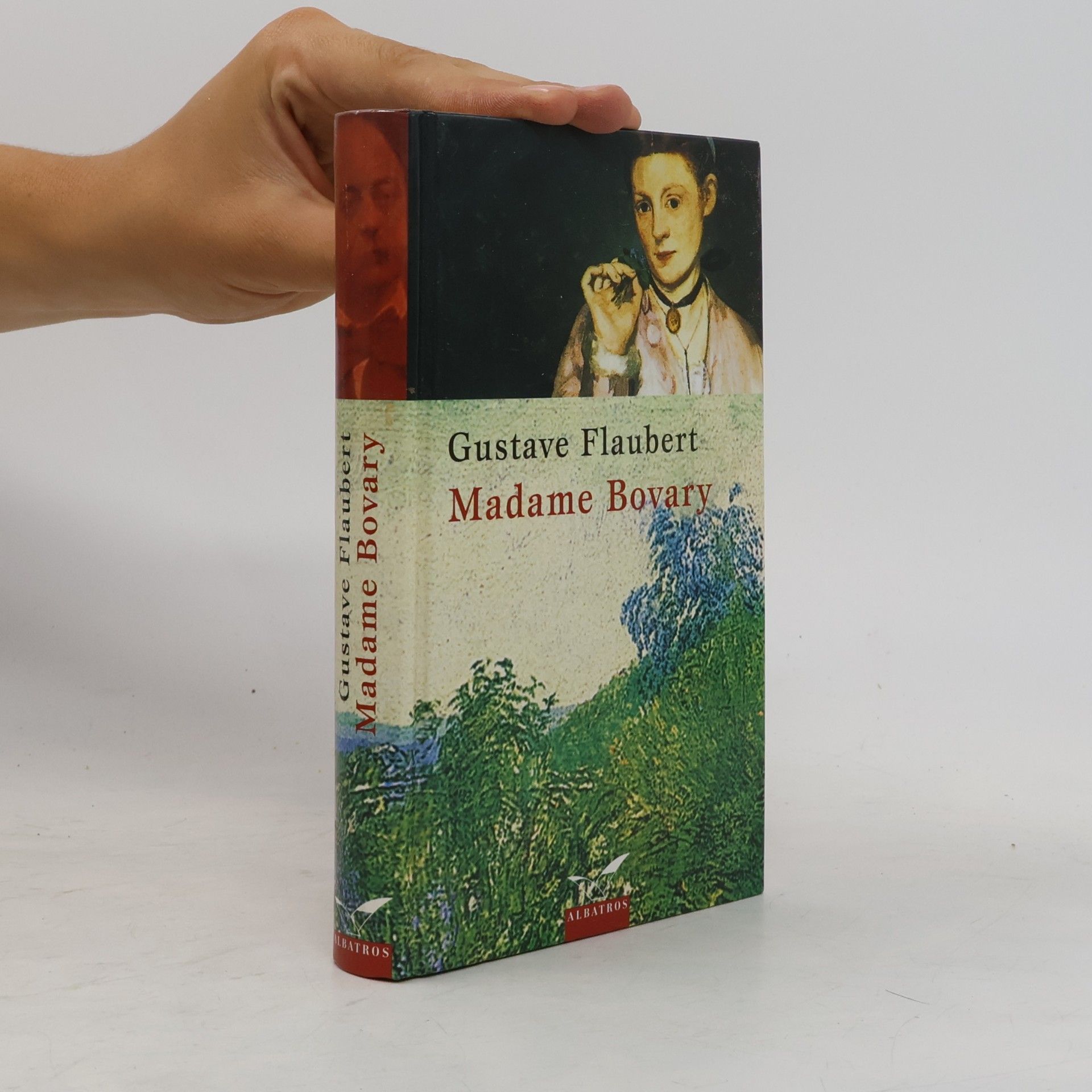 Gustave Flaubert Madame Bovary