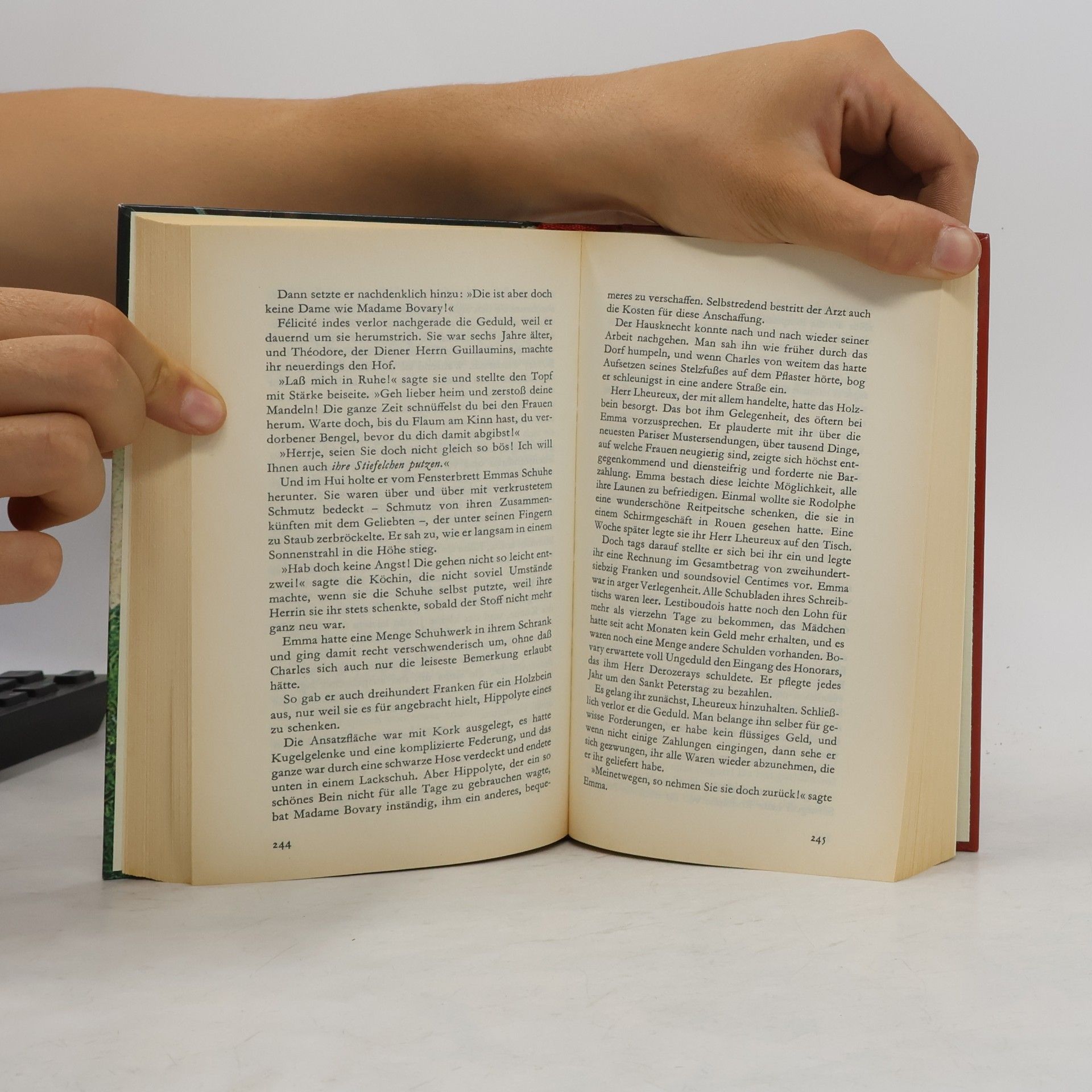 Gustave Flaubert Madame Bovary