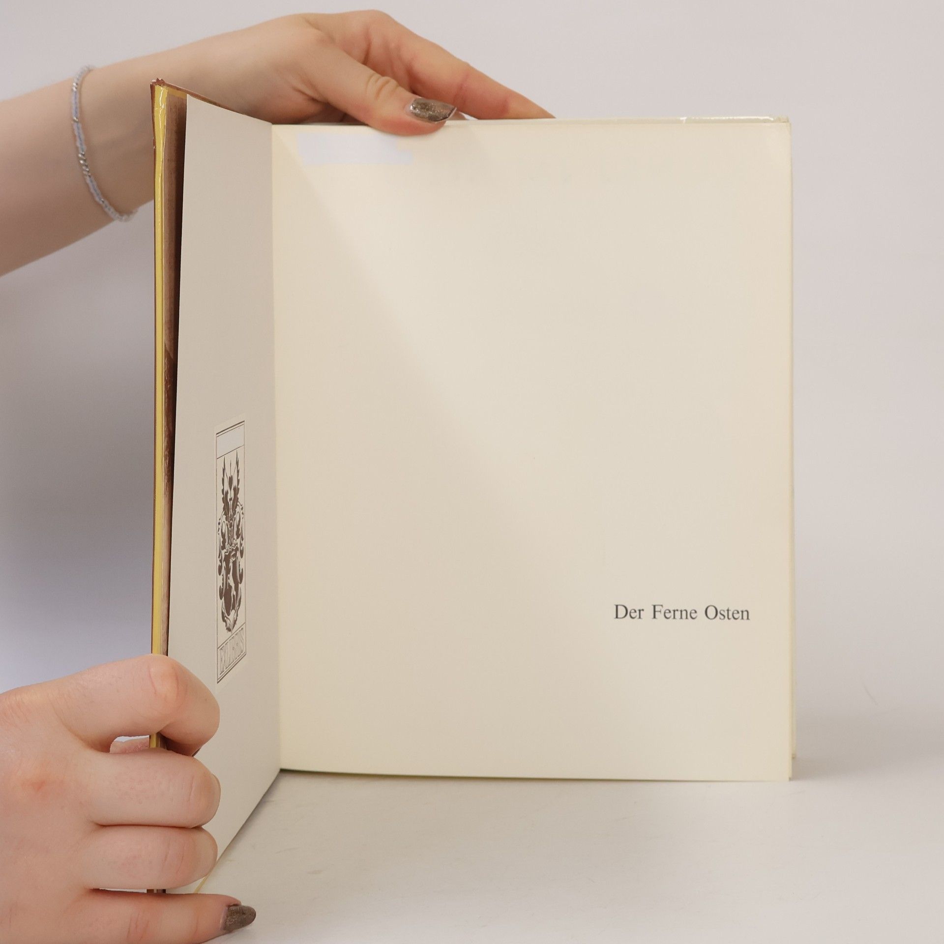 Hugo Münsterberg Kunst im Bild. Der ferne Osten