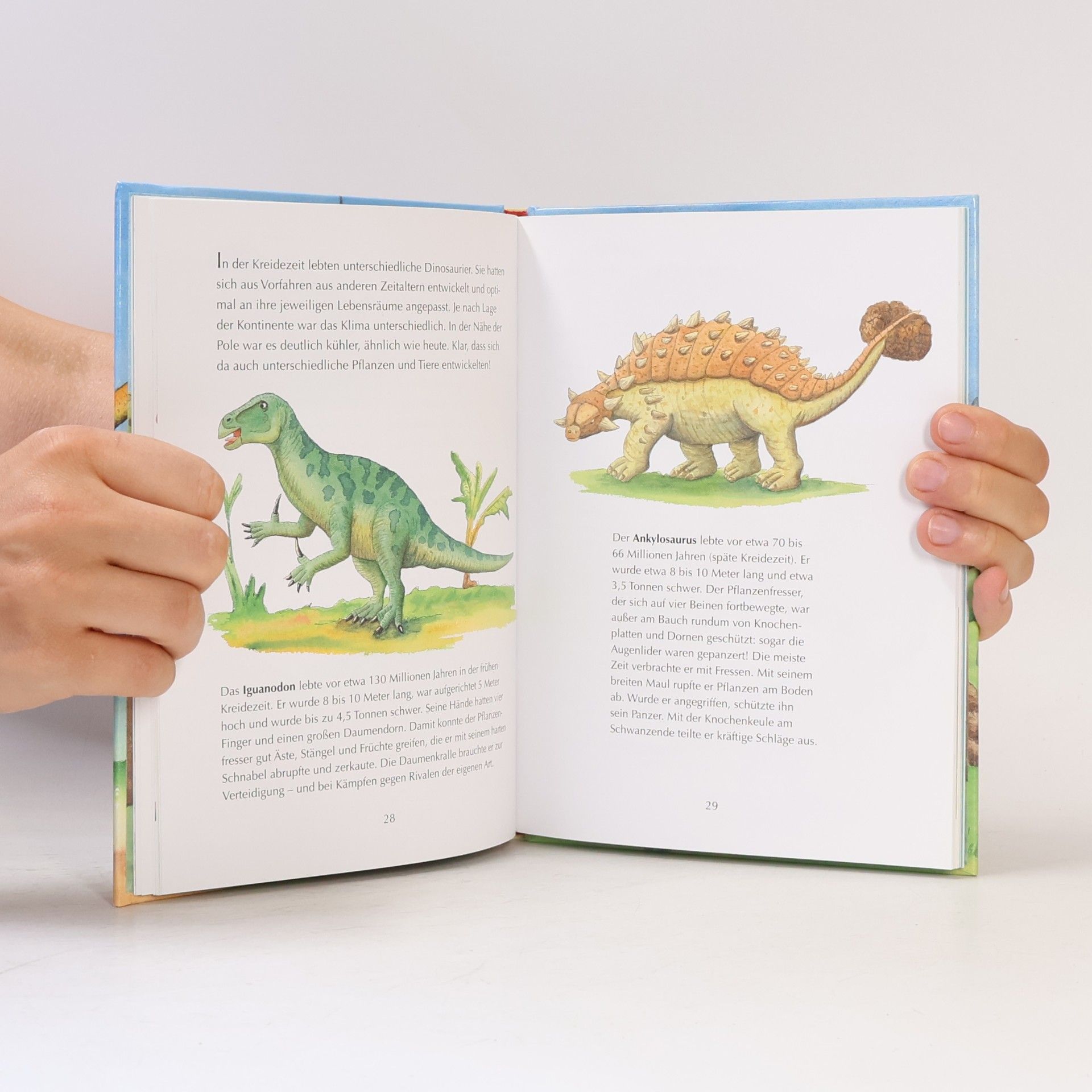 Ingo Seigner Alles klar! Der kleine Drache Kokosnuss erforscht die Dinosaurier