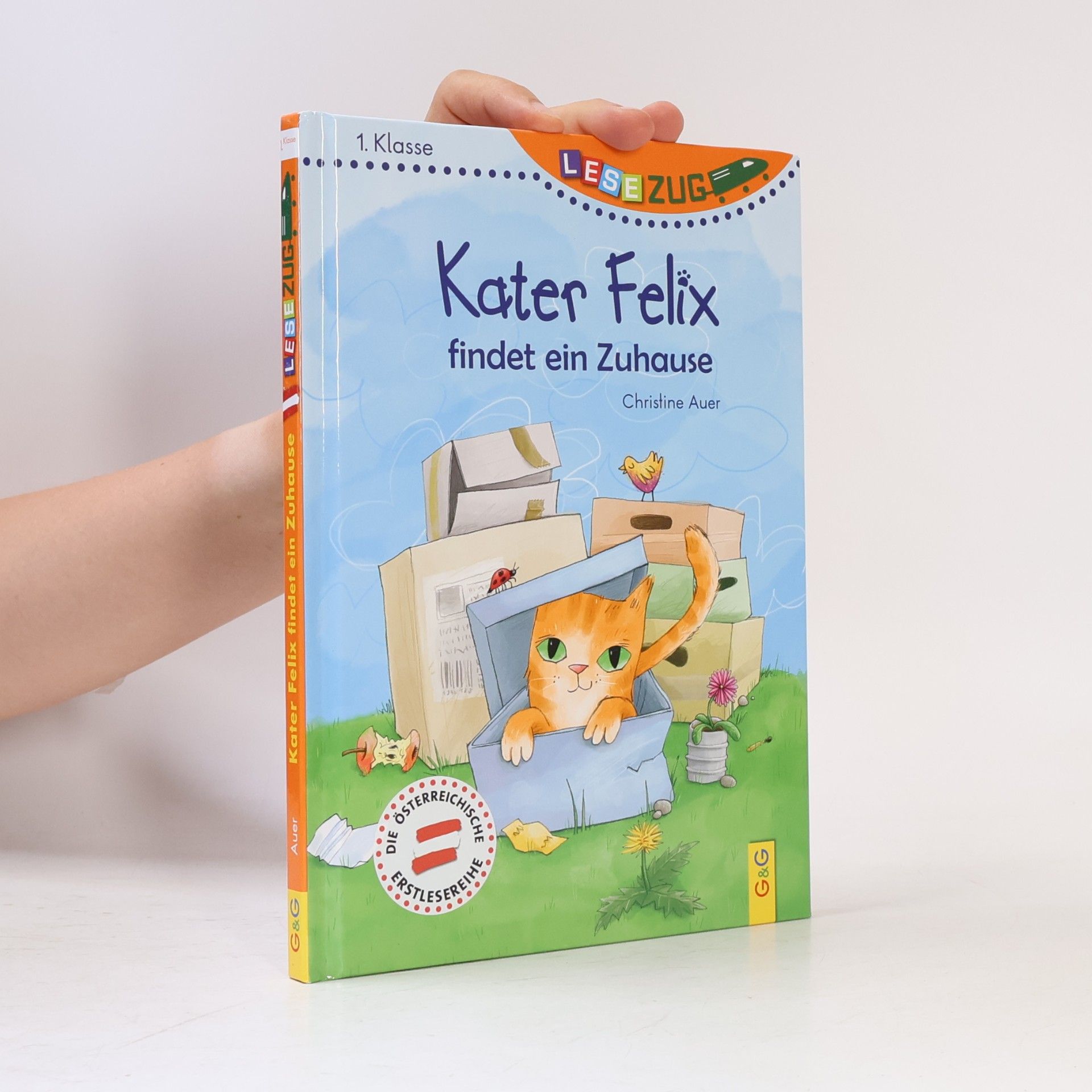 Christine Auer Kater Felix findet ein Zuhause
