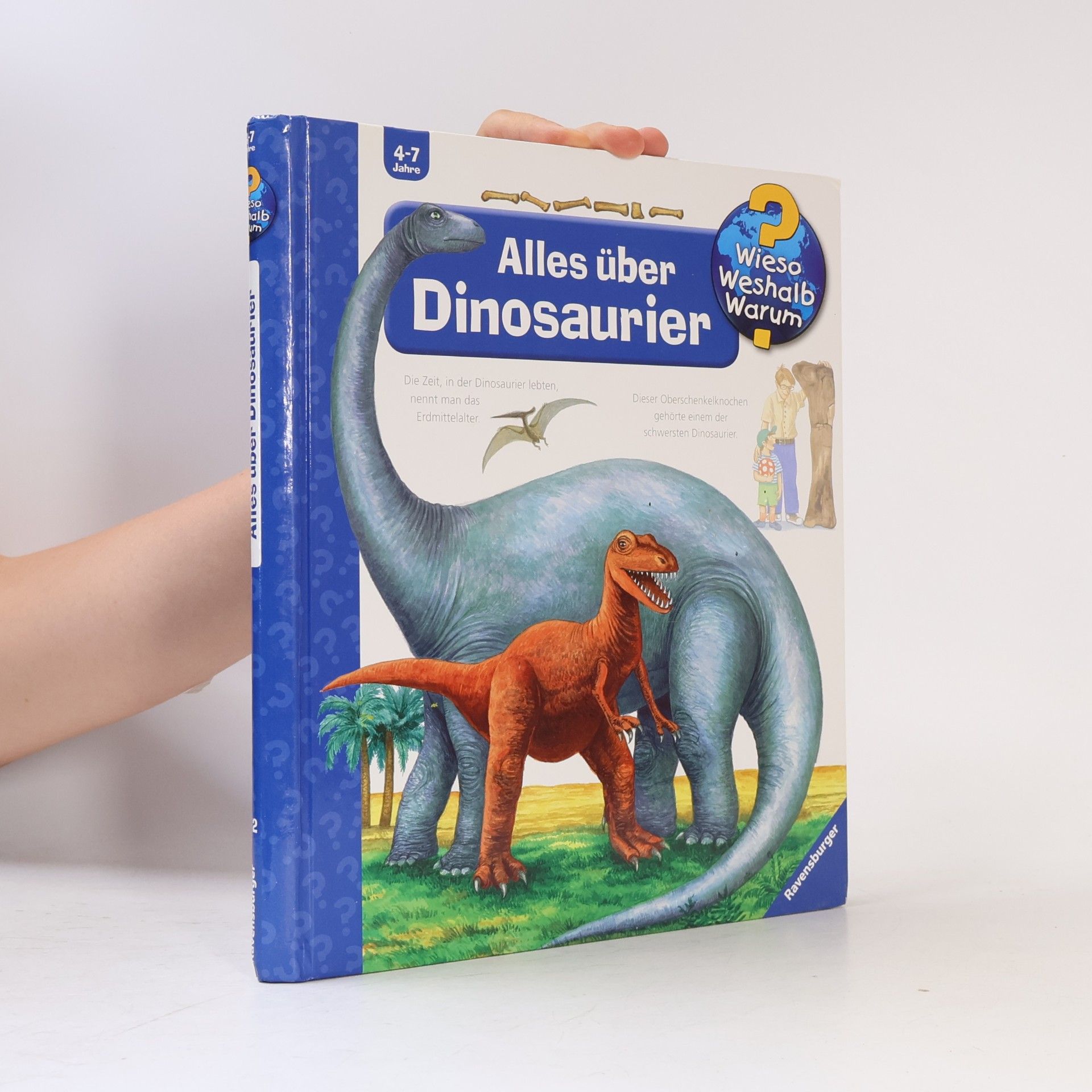 Kolektiv autorů Alles über Dinosaurier