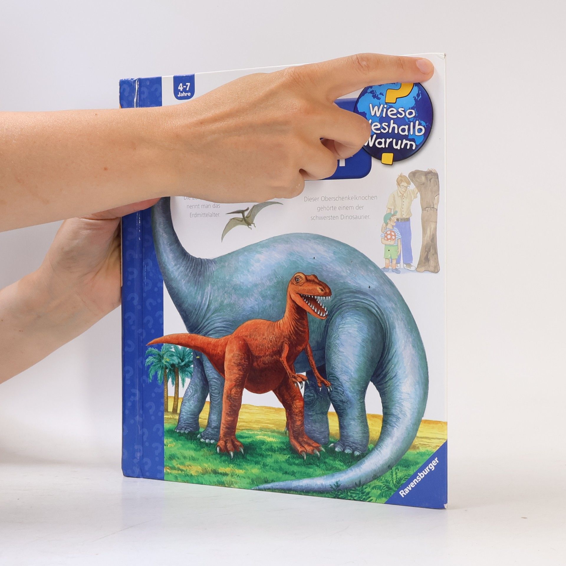 Kolektiv autorů Alles über Dinosaurier