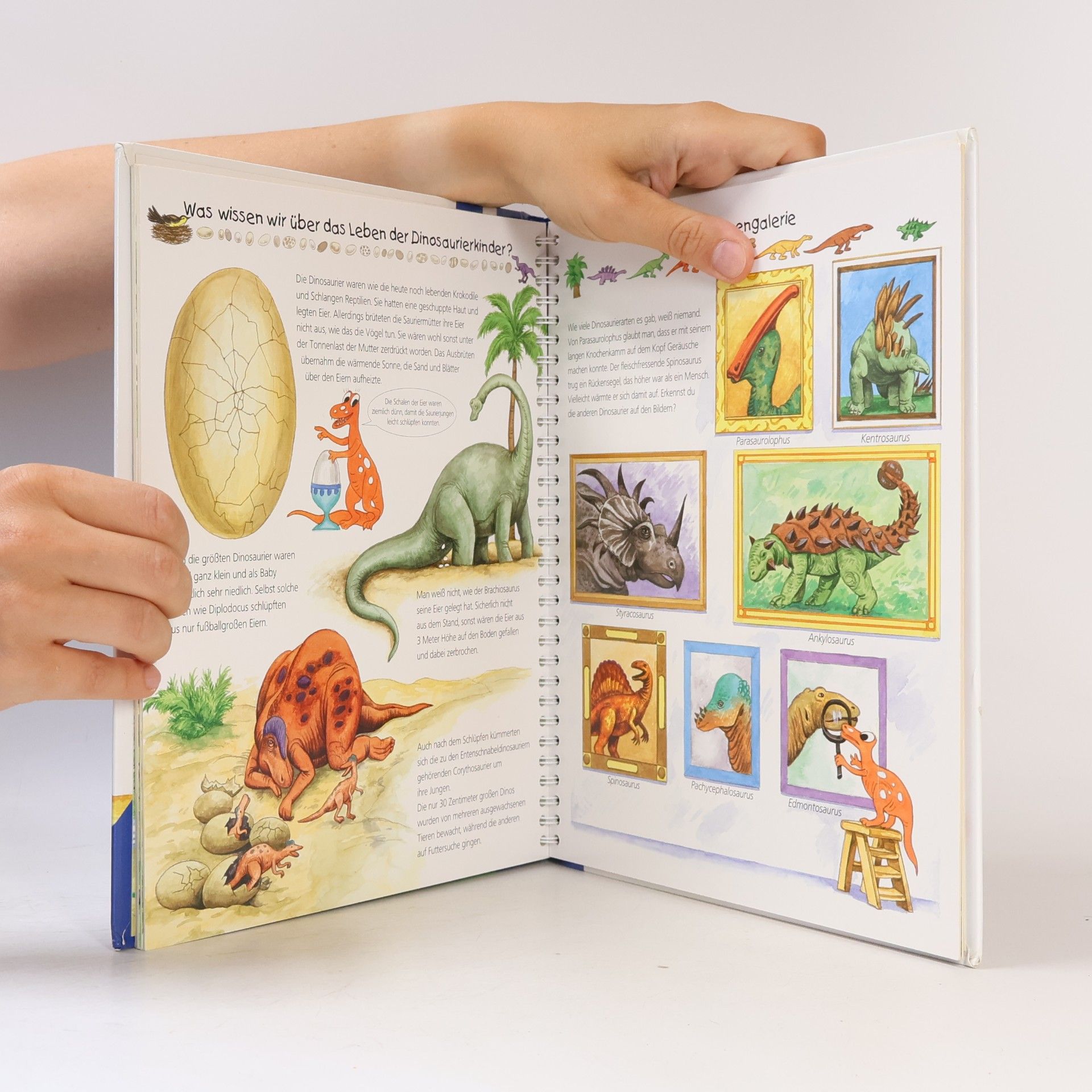 Kolektiv autorů Alles über Dinosaurier