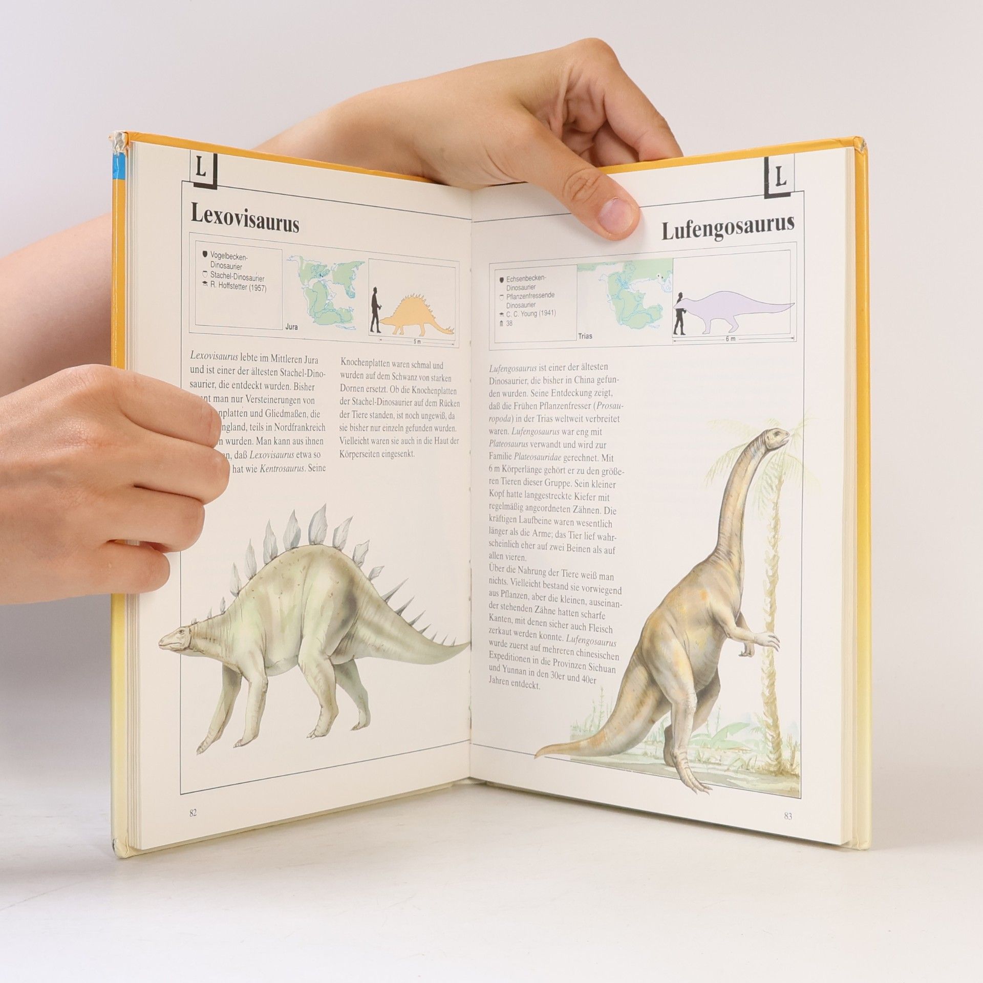 Michael J. Benton Dinosaurier von A - Z