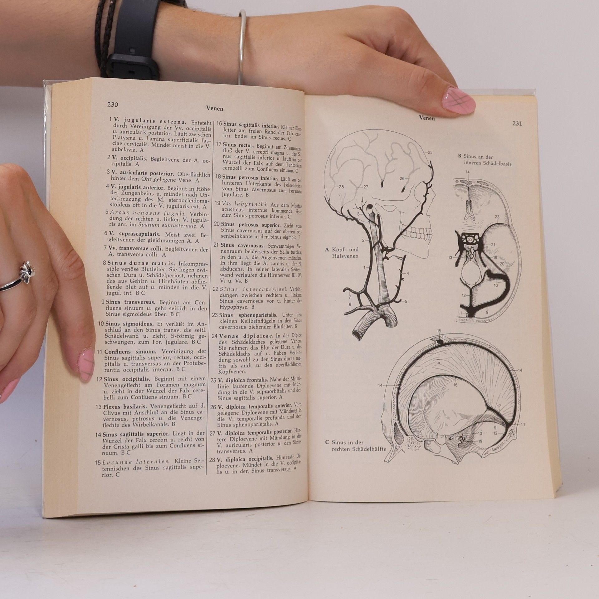 Heinz Feneis Anatomisches Bildwörterbuch der internationalen Nomenklatur