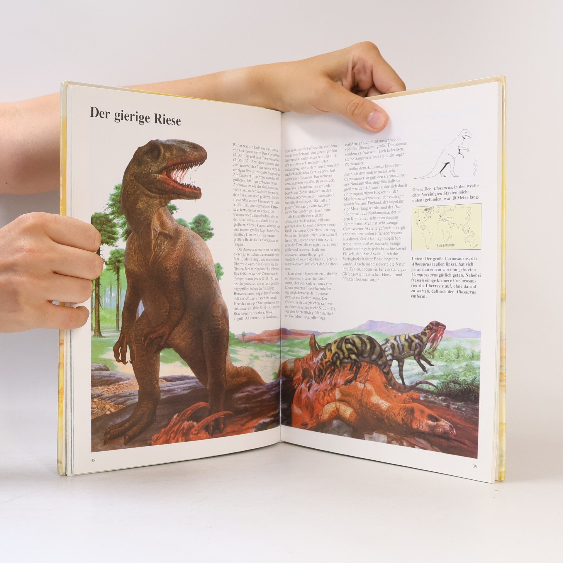 David Norman Dinosaurier regierten die Welt