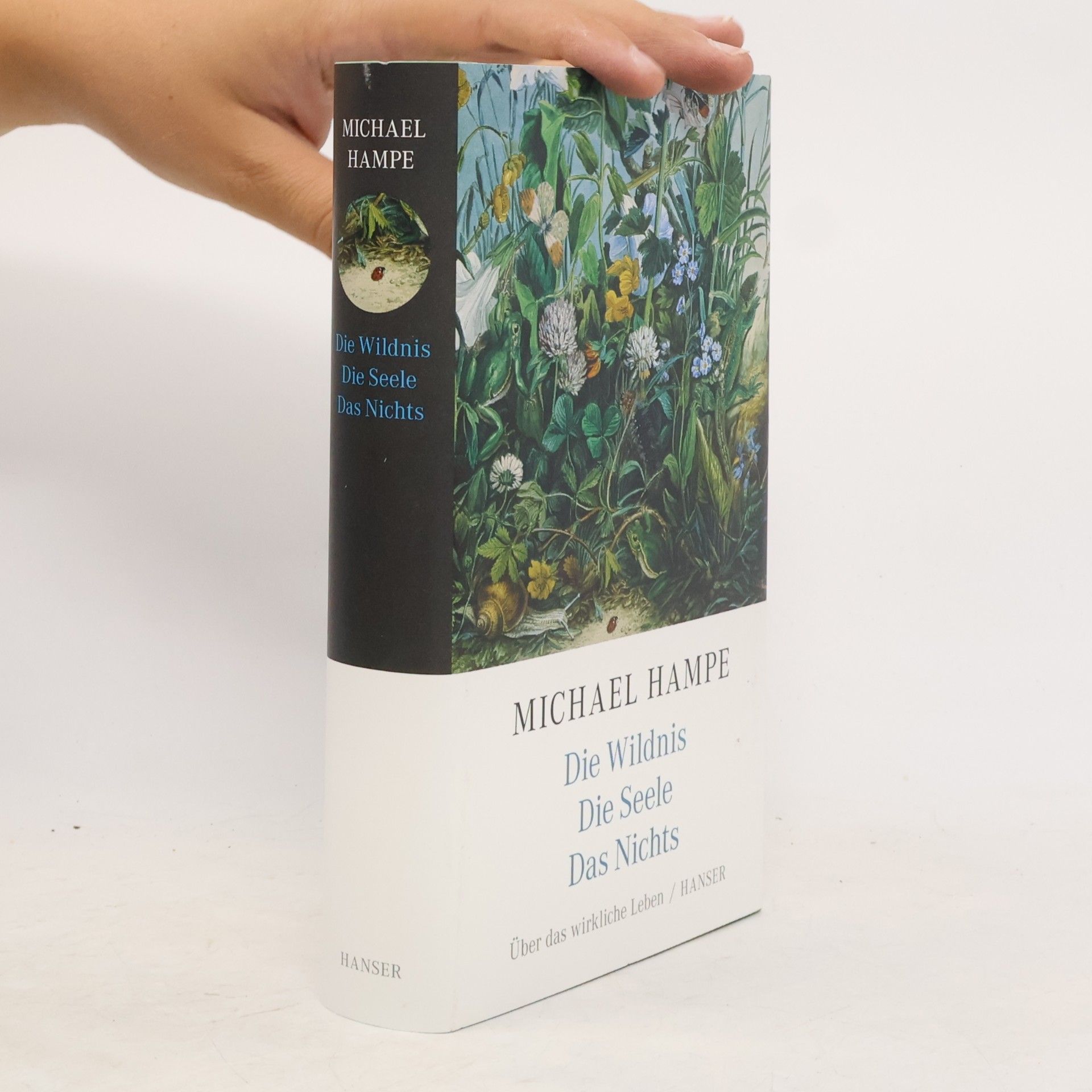 Michael Hampe Der Wildnis. Die Seele. Das Nichts