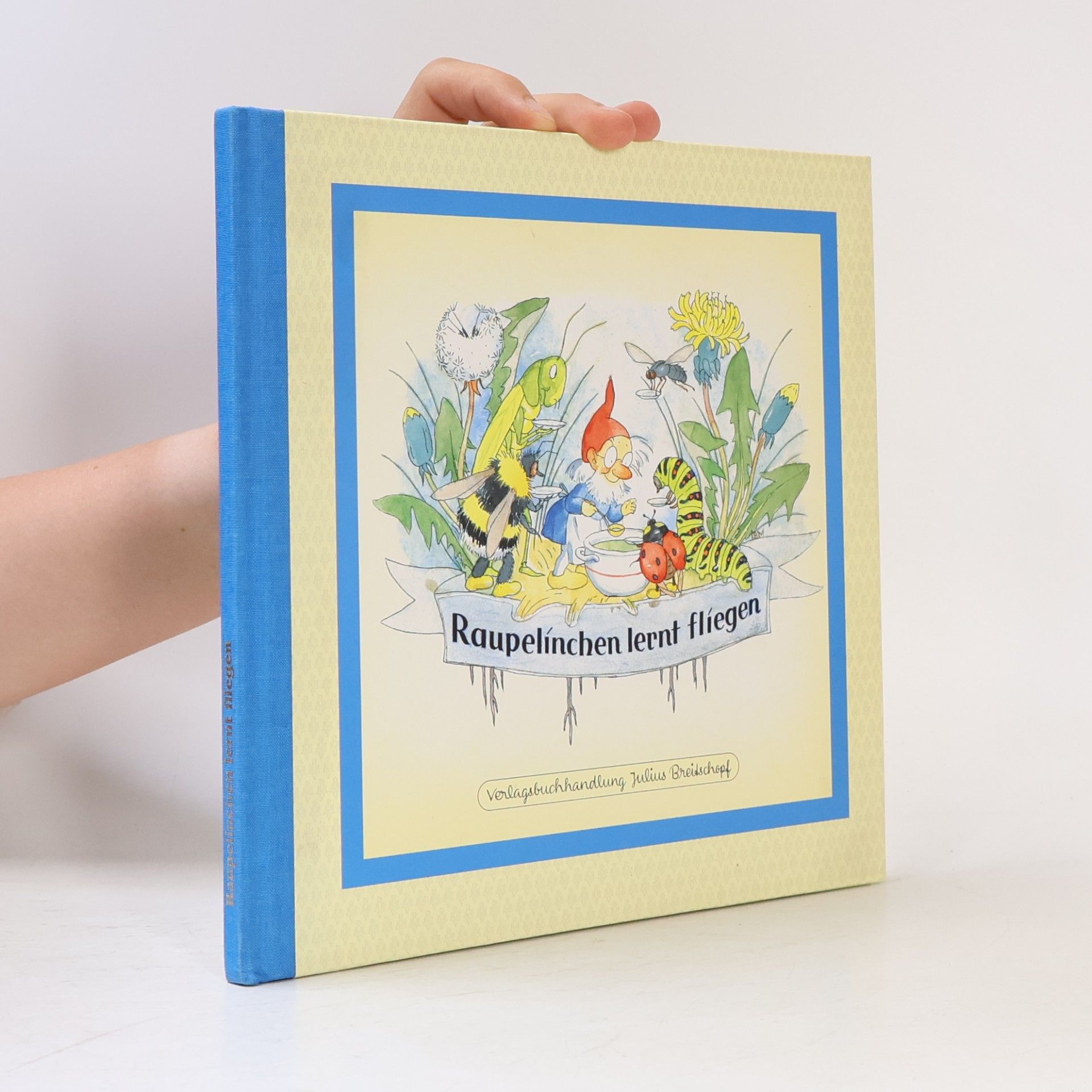 Autorenkollektiv Raupelínchen lernt fliegen