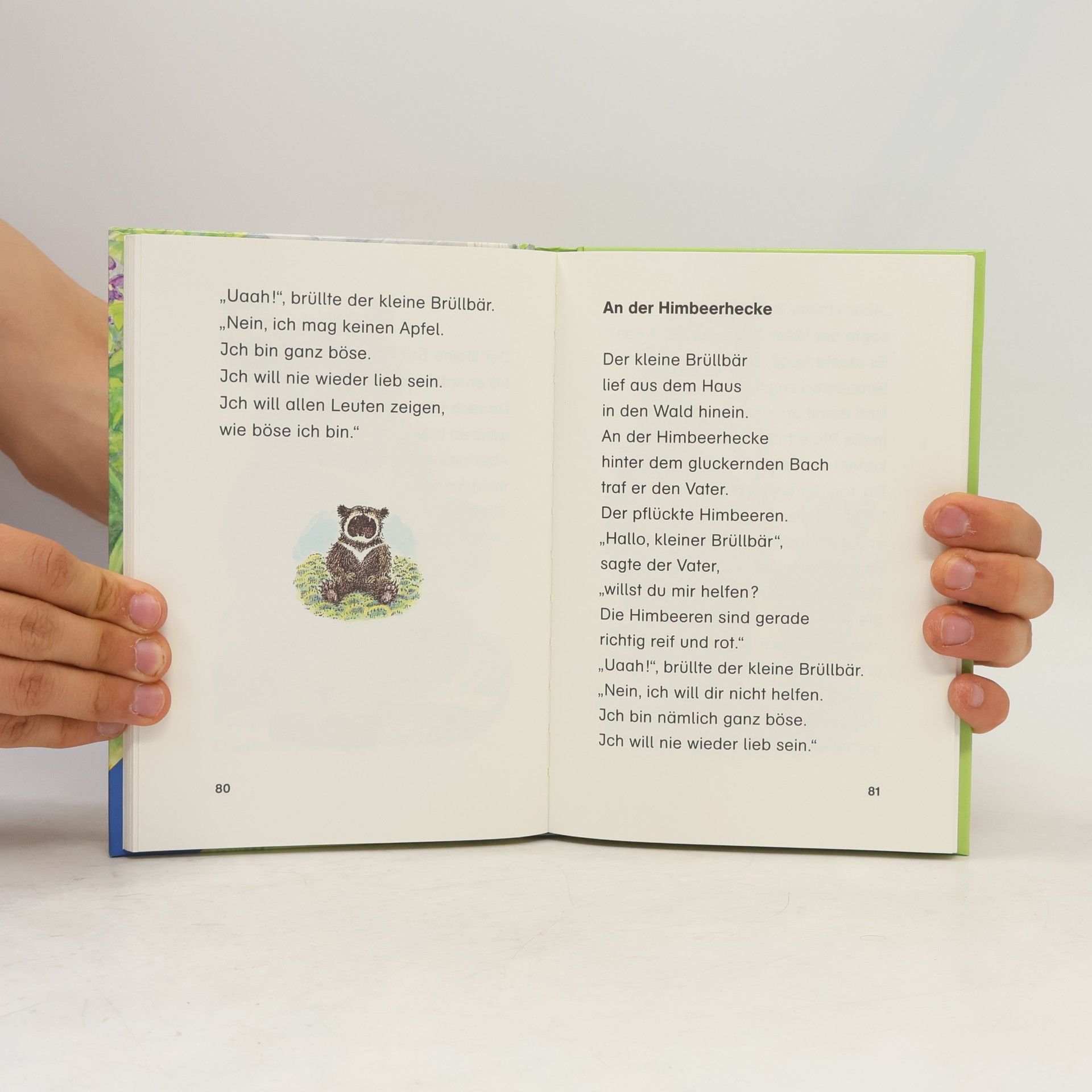 Ingrid Uebe Das große Buch vom kleinen Brüllbär