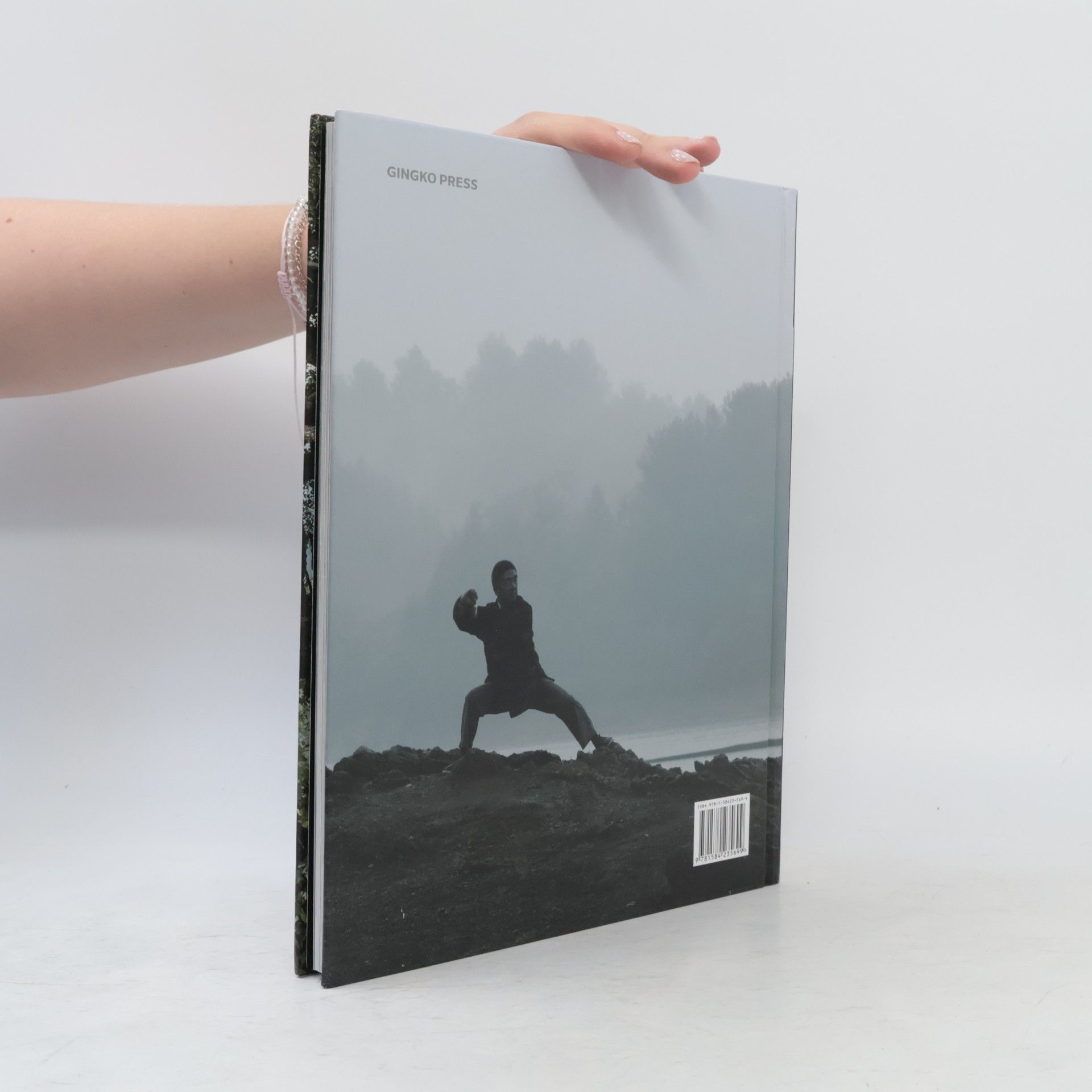 Zhang Zheyi The Art of Chinese Kung Fu
