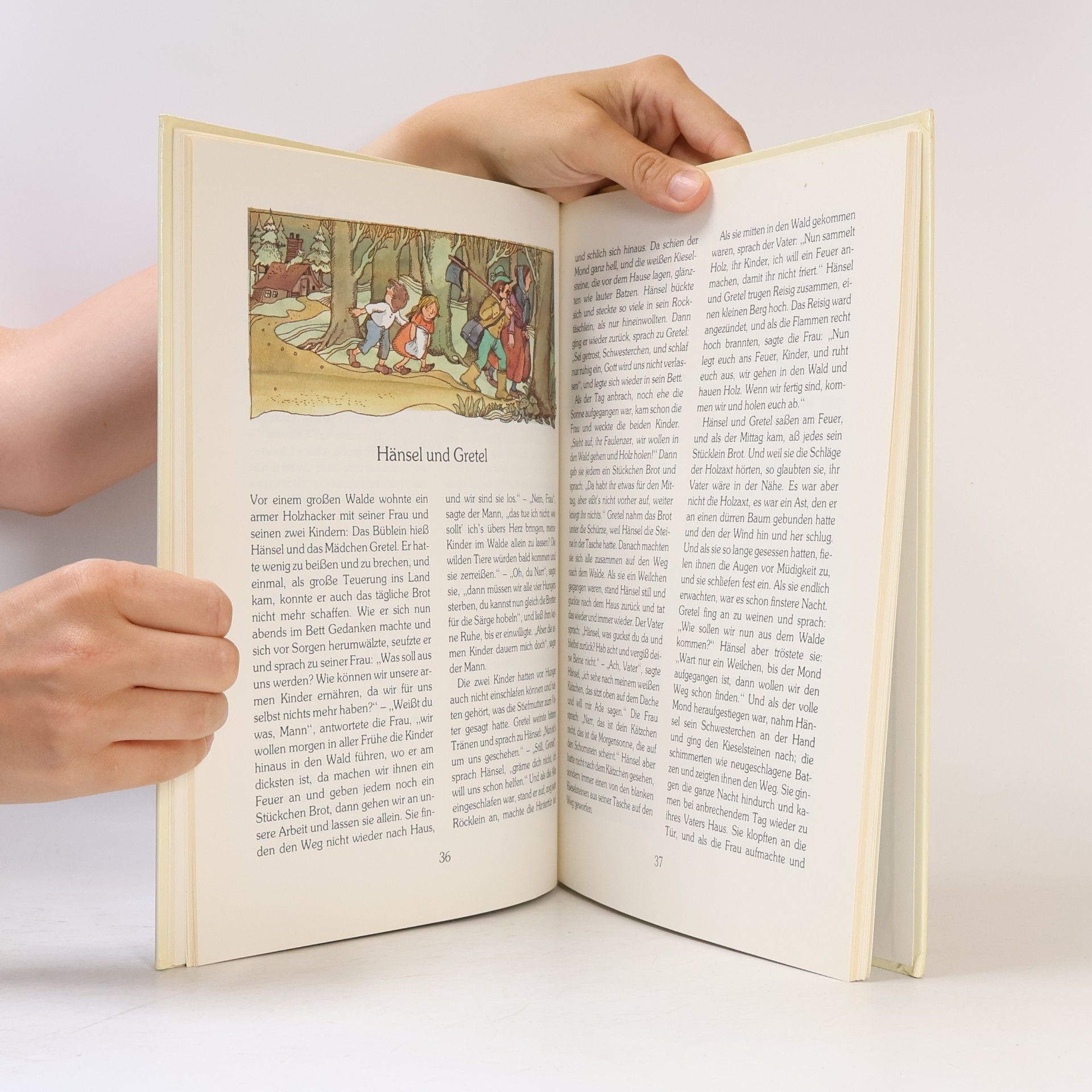 Kolektiv autorů Die schönsten Märchen der Brüder Grimm