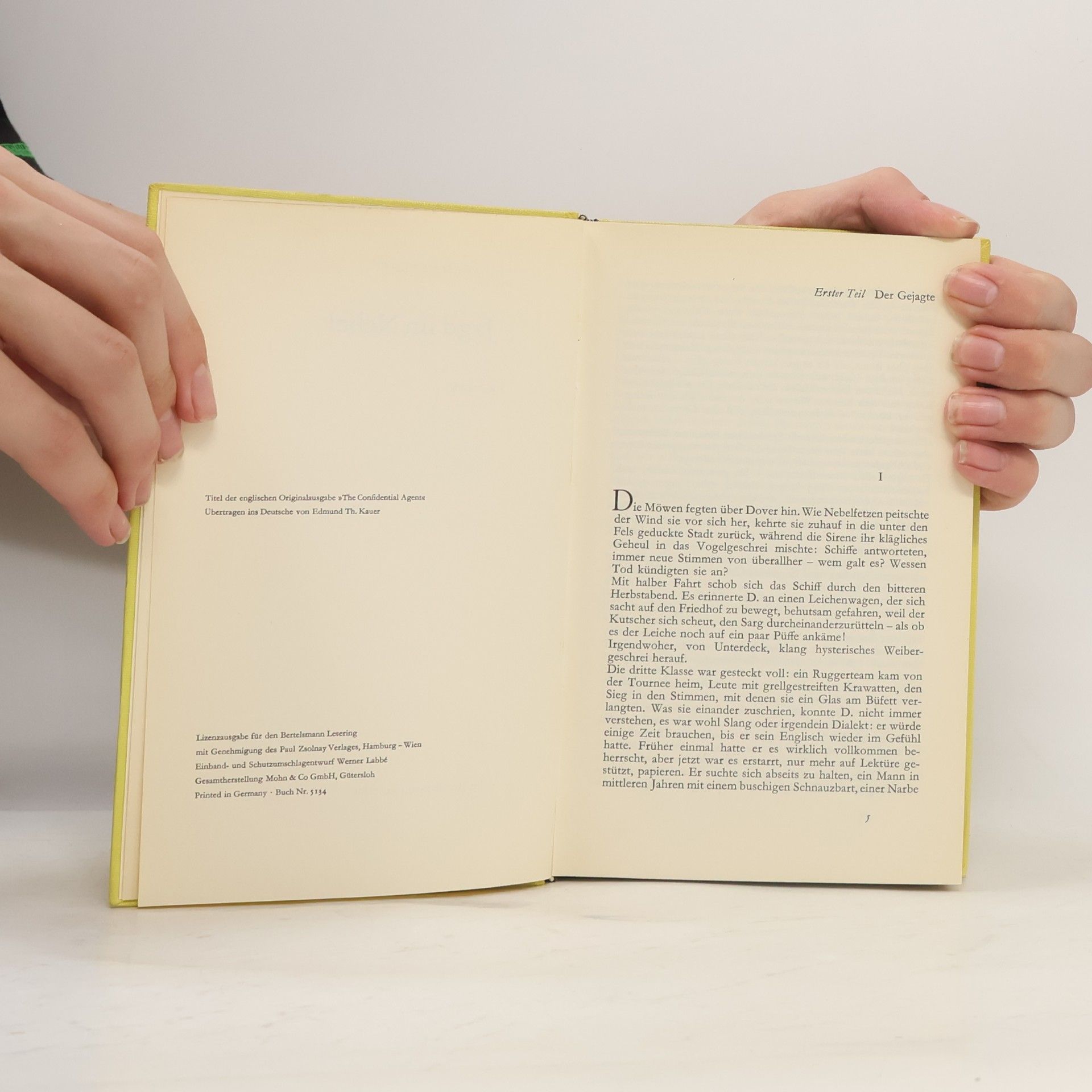 Graham Greene Jagd im Nebel
