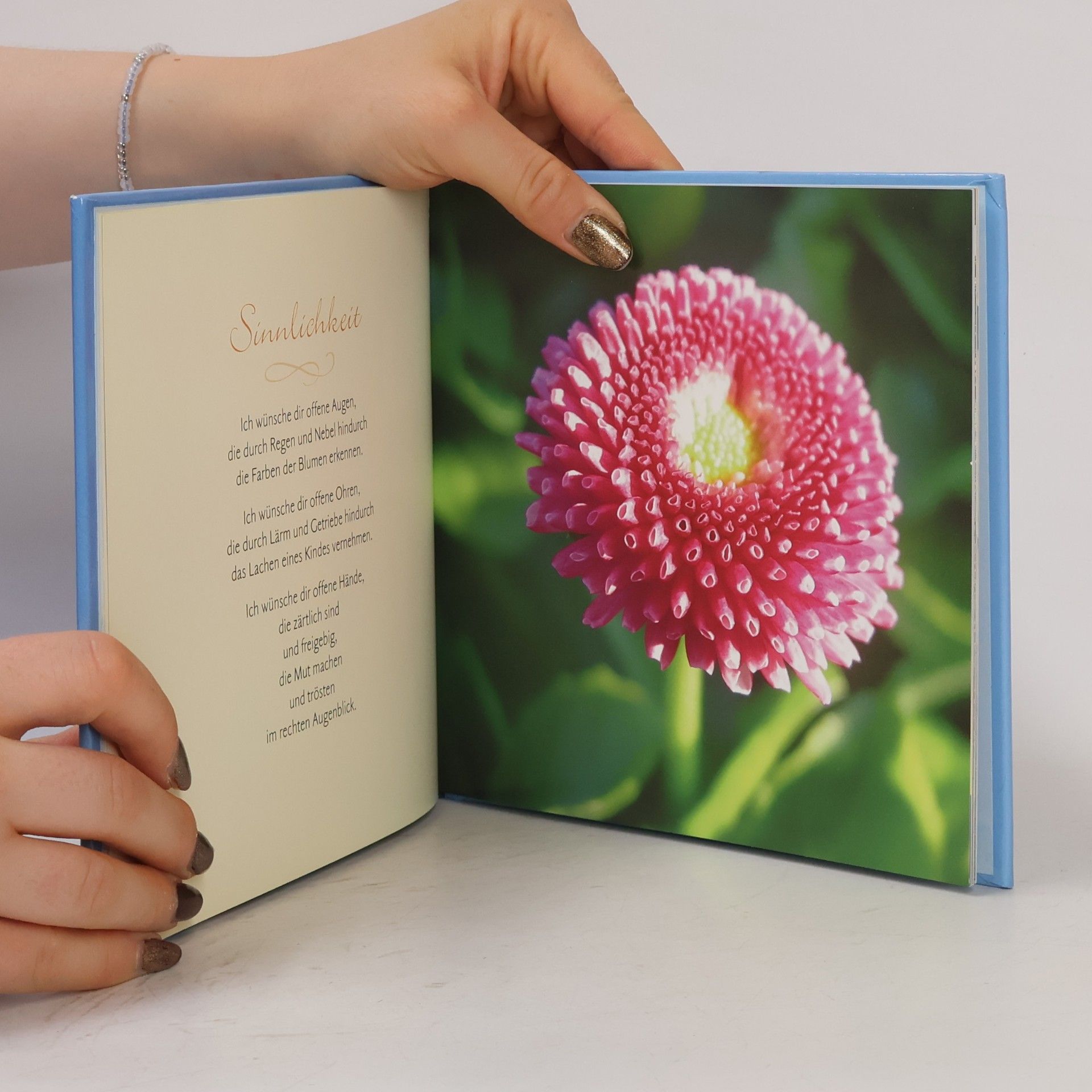 Renate Lehmacher Das kleine Buch der guten Wünsche