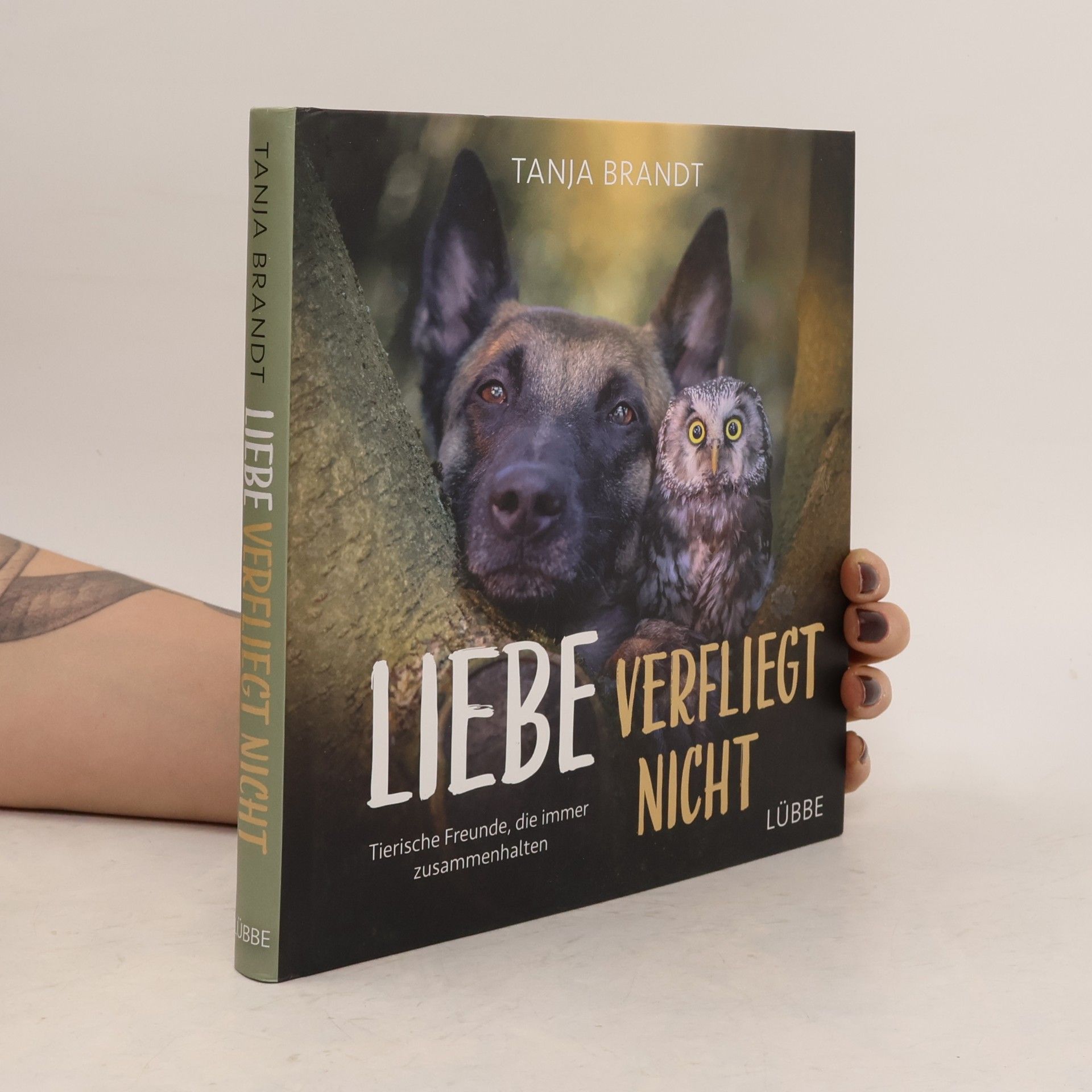 Tanja Brandt Liebe verfliegt nicht