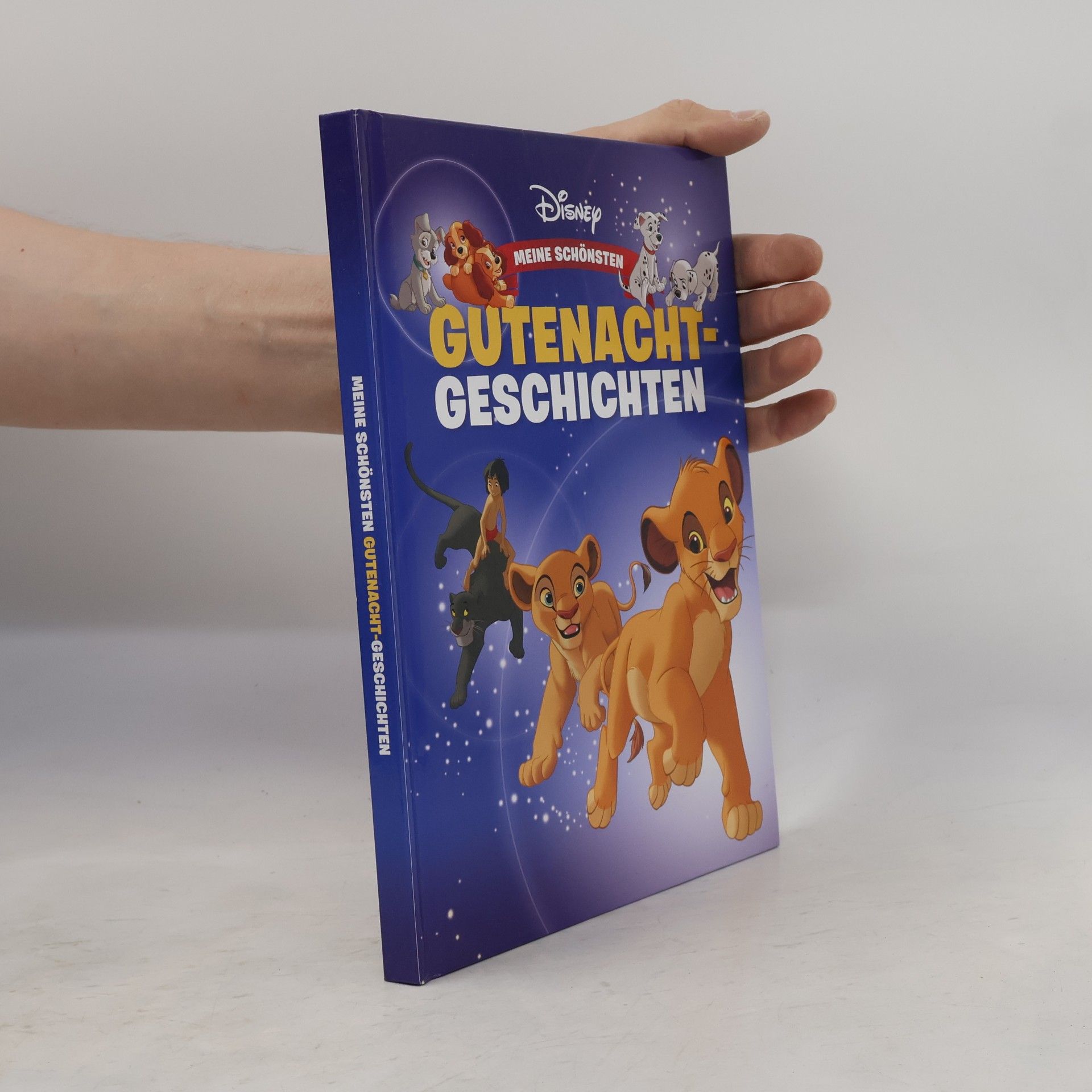 Autorenkollektiv Gutenacht-Geschichten