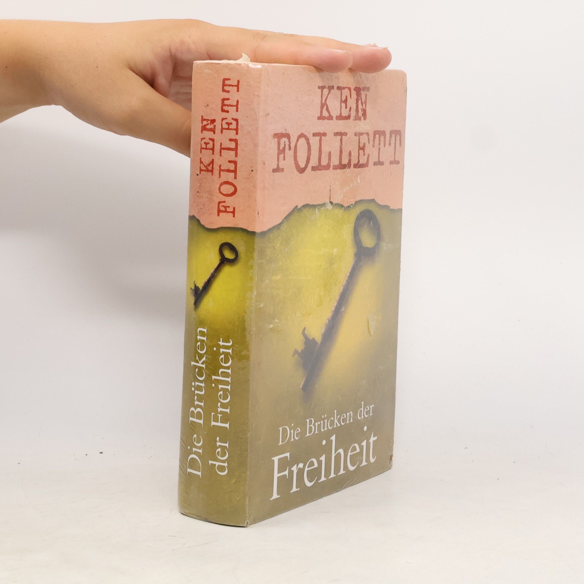 Ken Follett Die Brücken der Freiheit