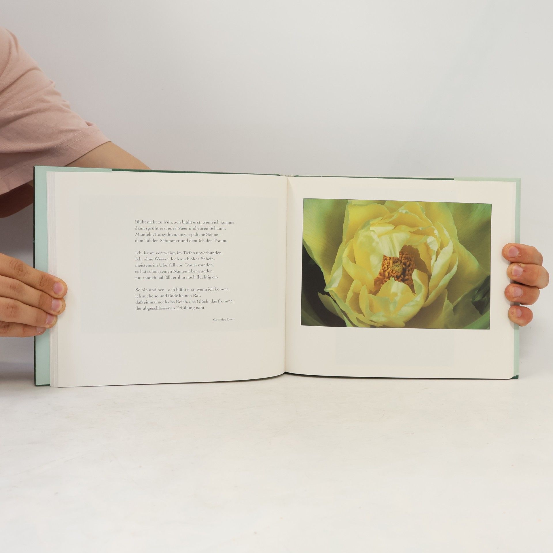 Isolde Ohlbaum Frau Faltermeiers Blumenladen