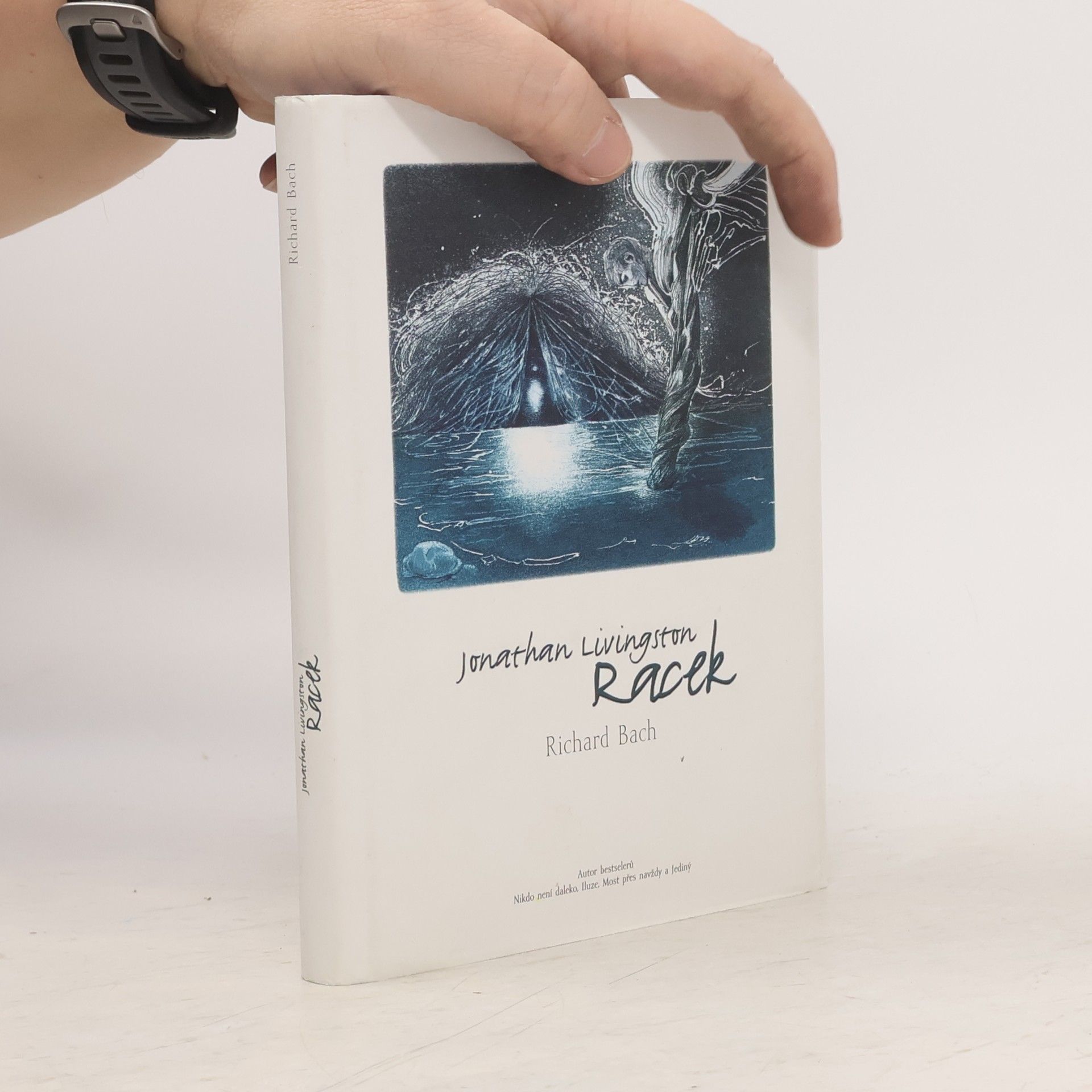 Richard Bach Jonathan Livingston: Racek