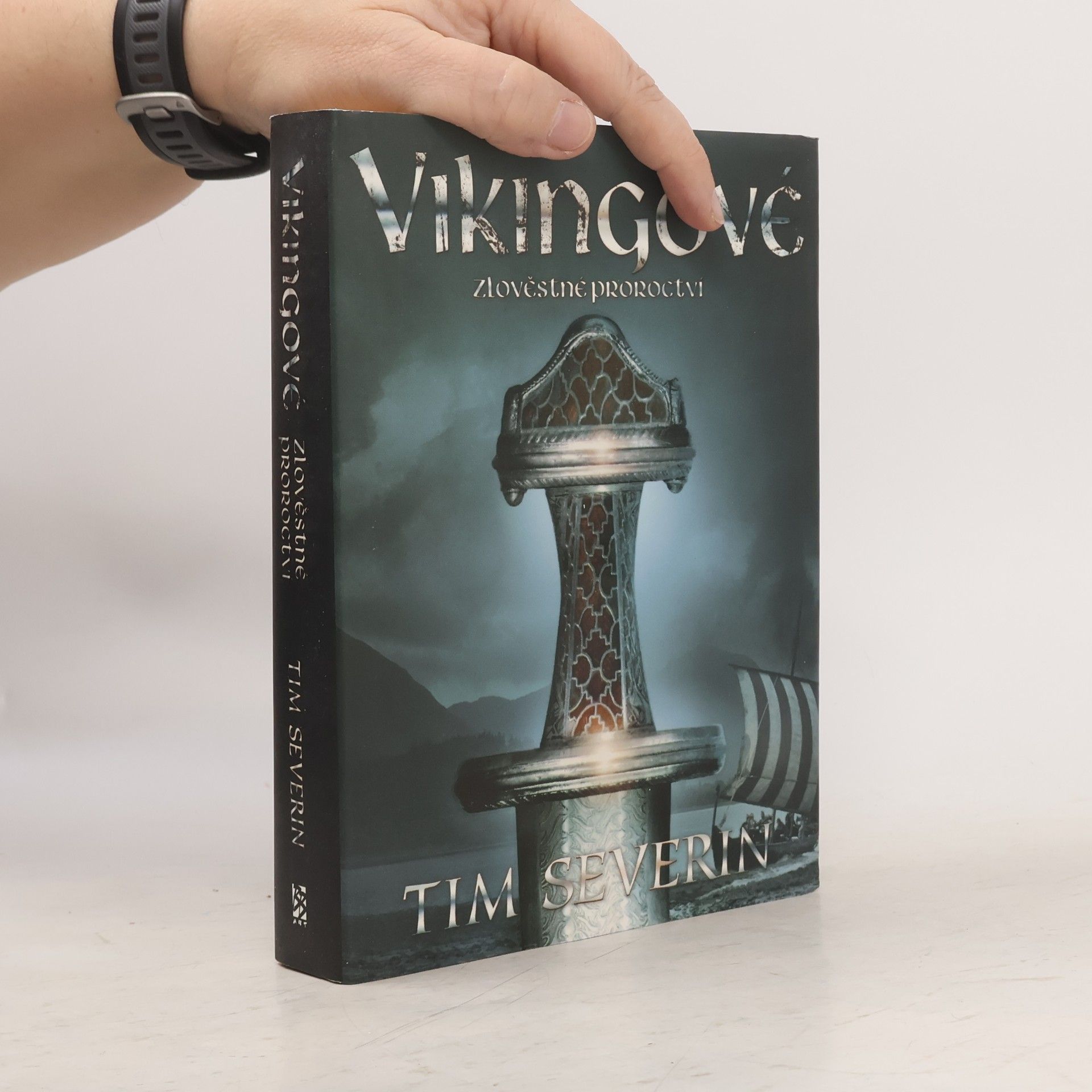 Tim Severin Vikingové 2