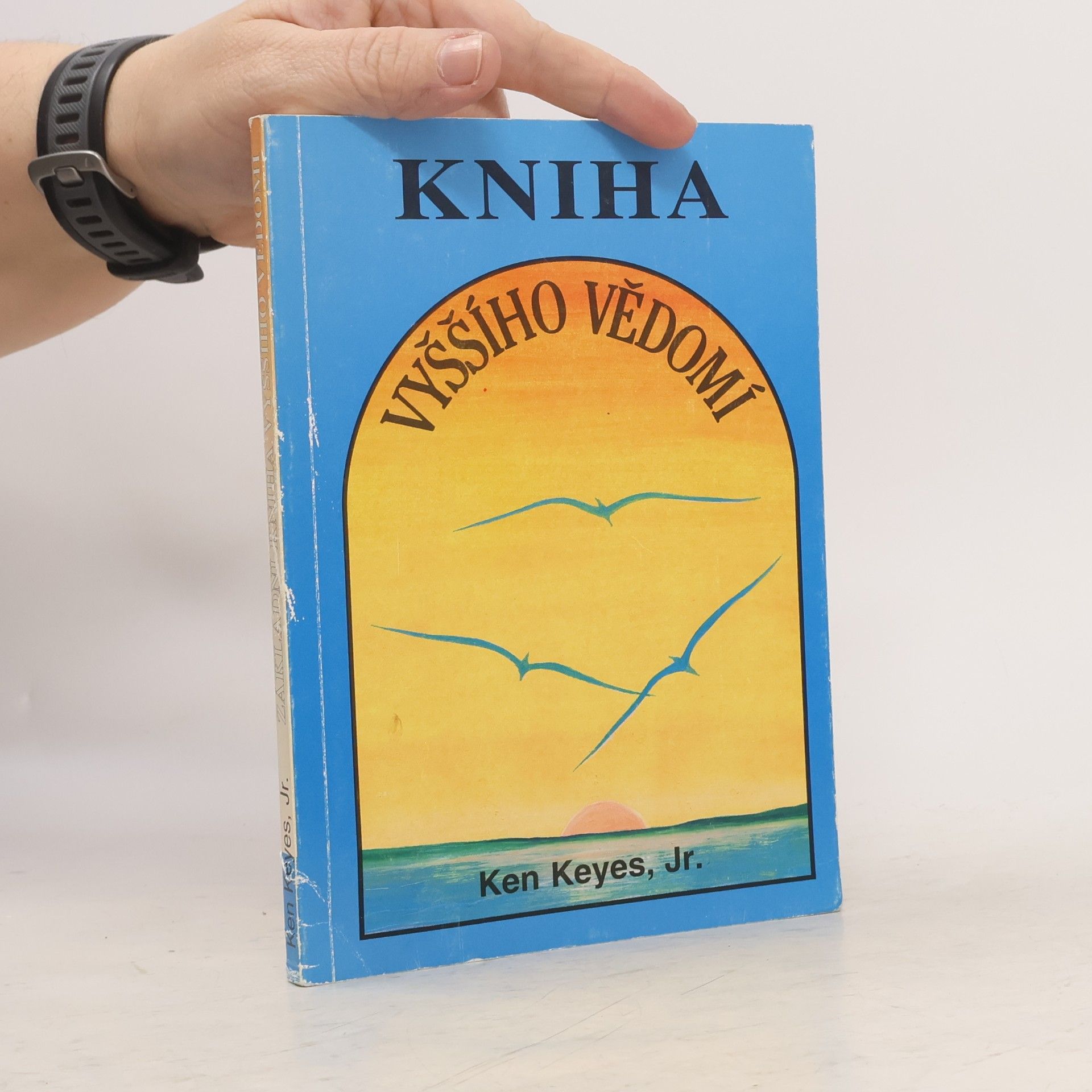 Ken Keyes Jr. Základní kniha vyššího vědomí