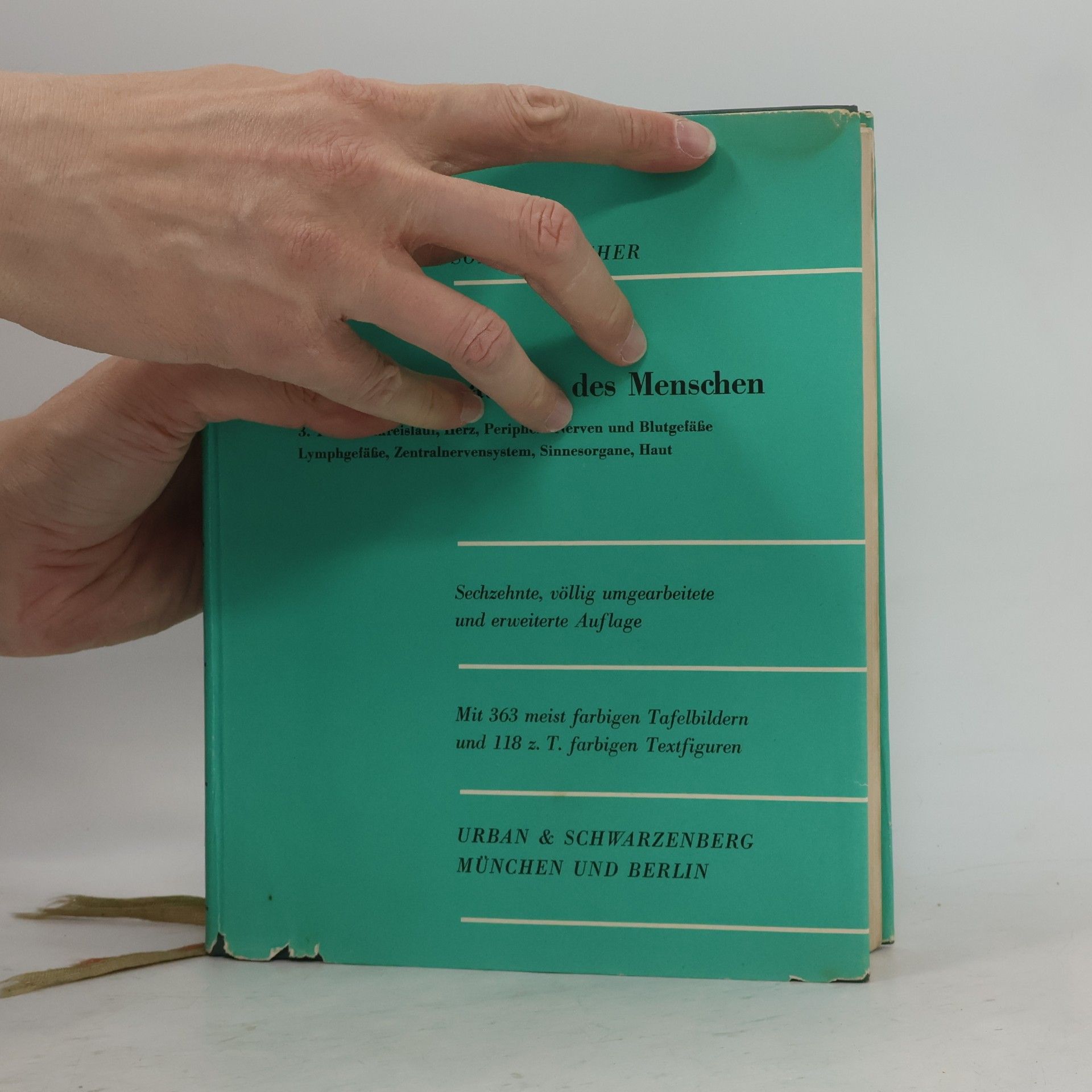 Sobotta-Becher Atlas der Anatomie des Menschen 3
