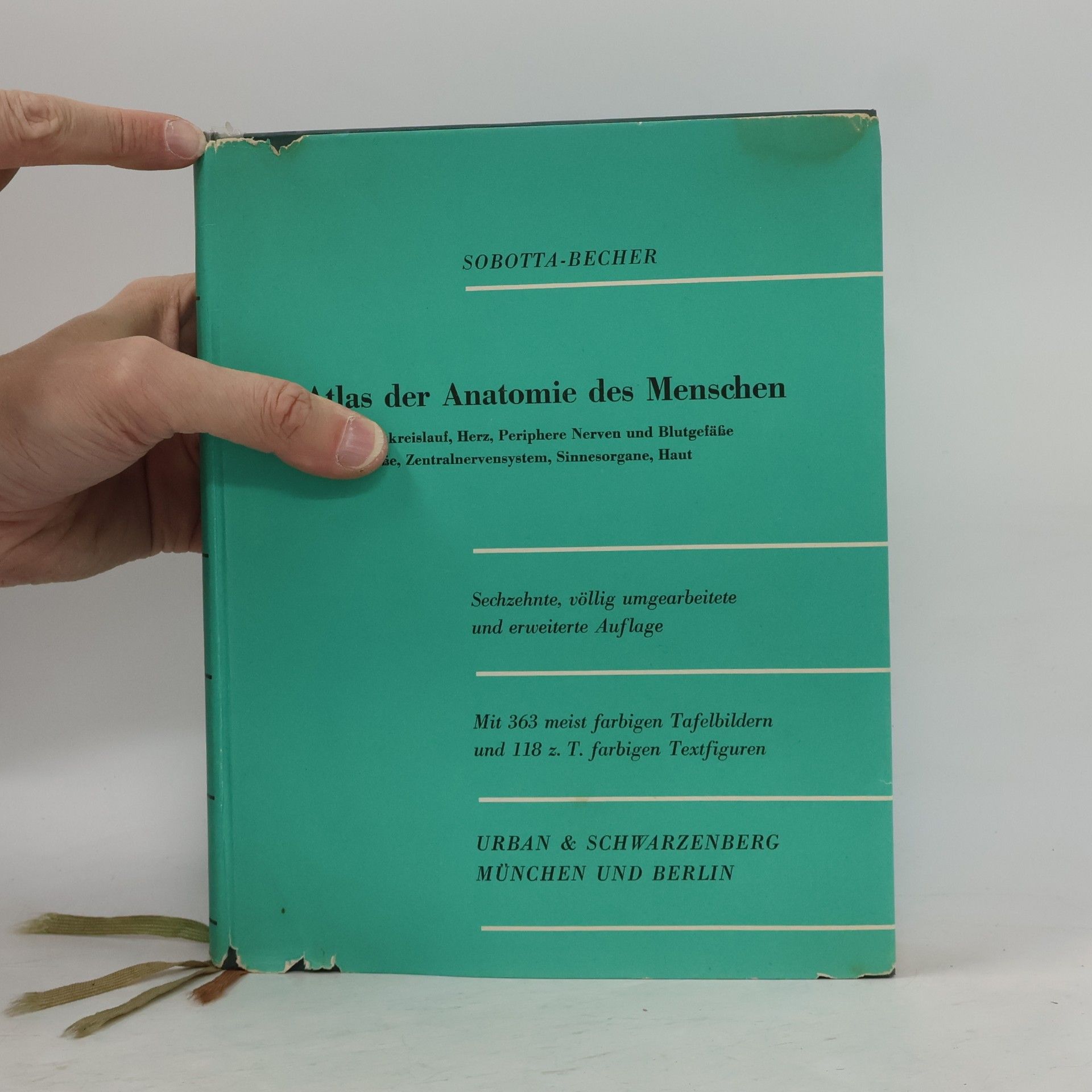 Sobotta-Becher Atlas der Anatomie des Menschen 3