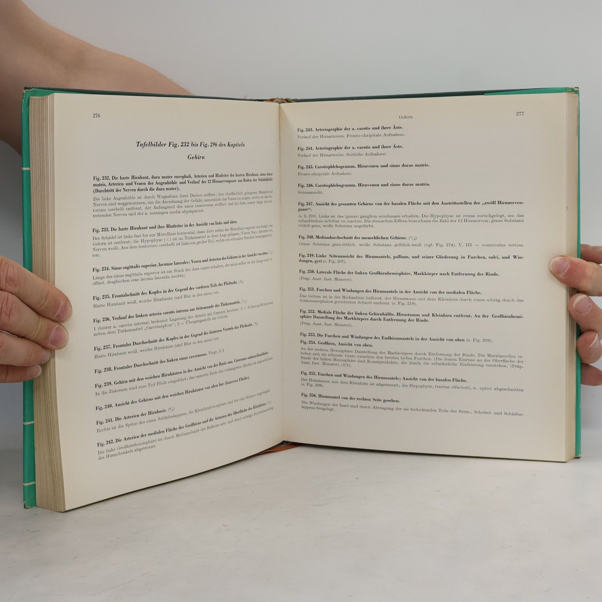 Sobotta-Becher Atlas der Anatomie des Menschen 3
