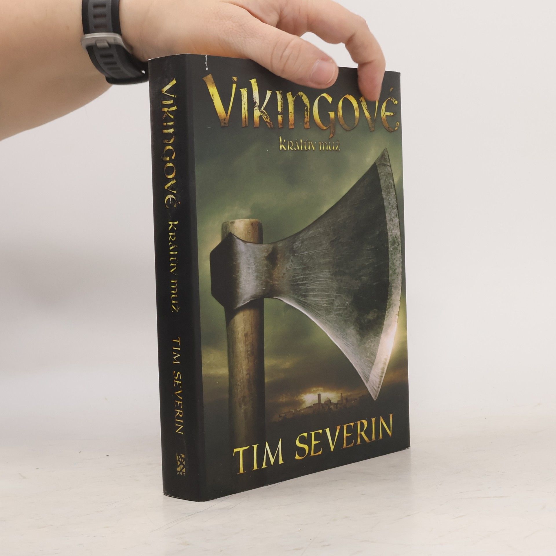 Tim Severin Vikingové 3. Králův muž