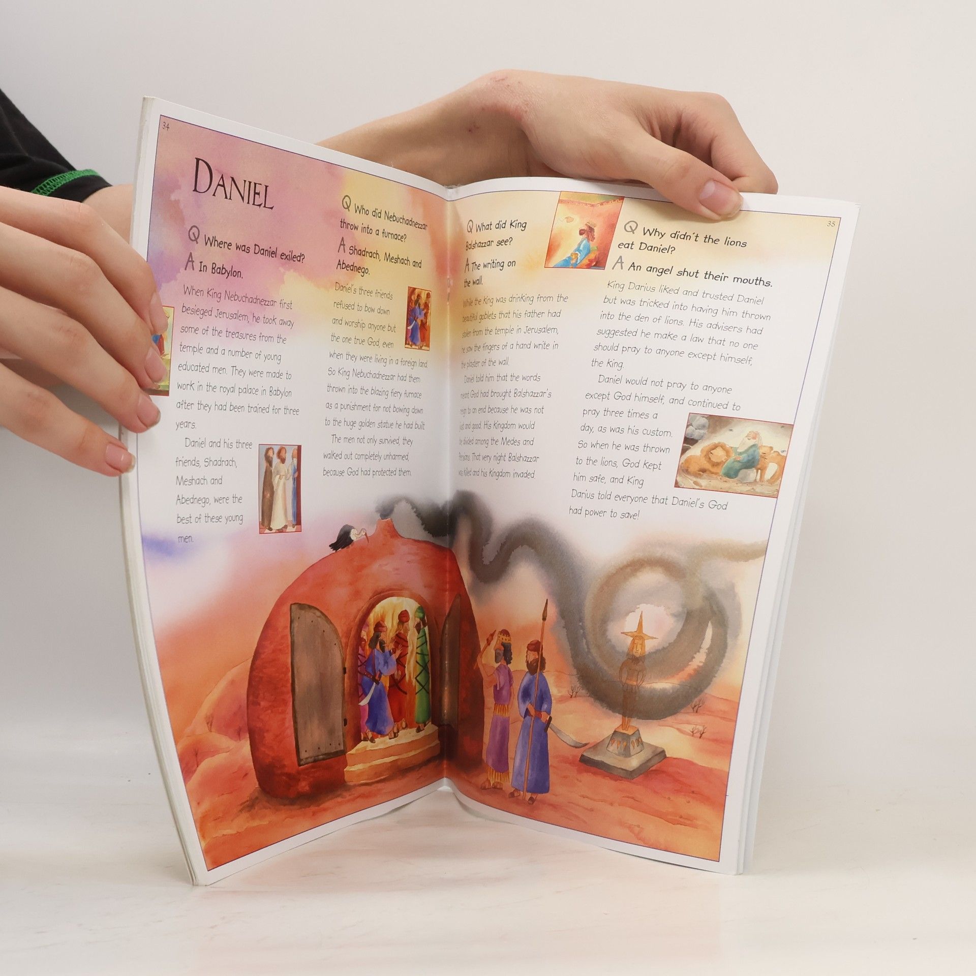 Sally Ann Wright The Big Book of Bible Questions