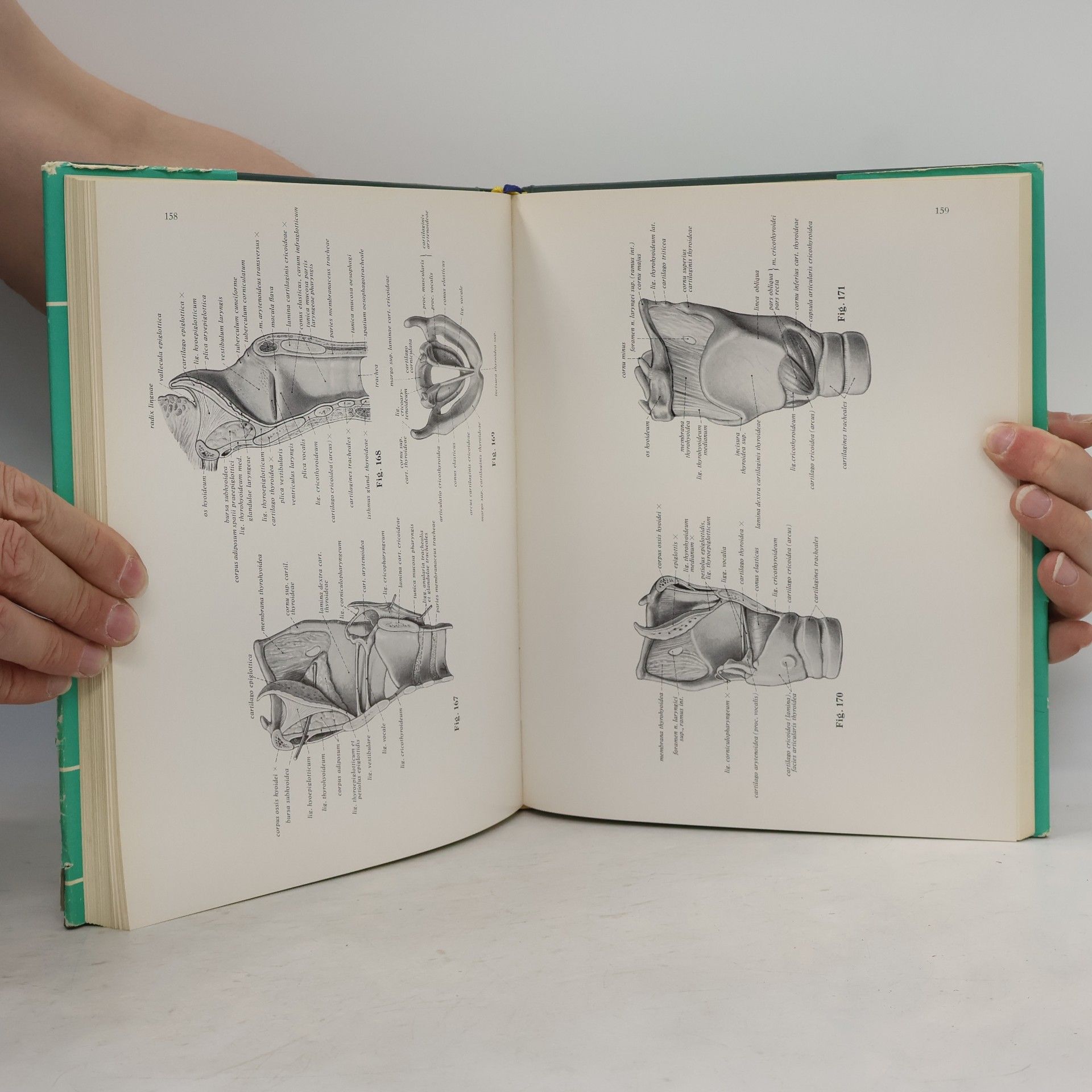 Johannes Sobotta Atlas der Anatomie des Menschen 2. Teil