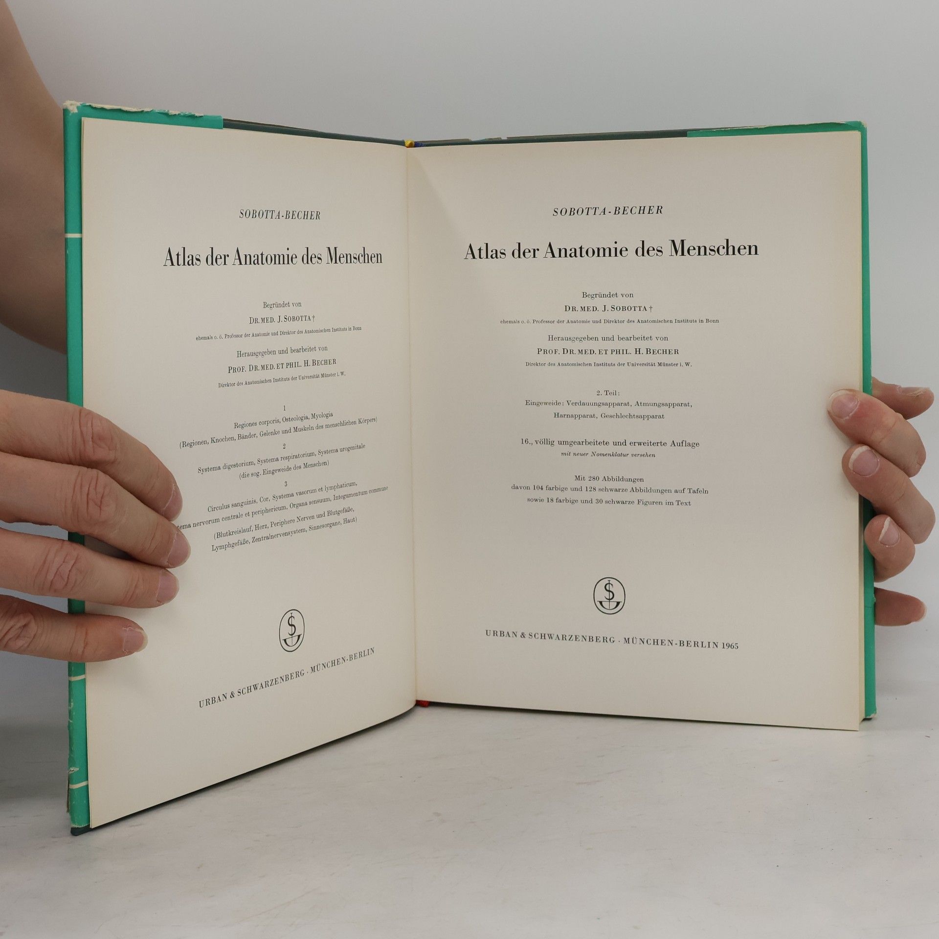 Johannes Sobotta Atlas der Anatomie des Menschen 2. Teil
