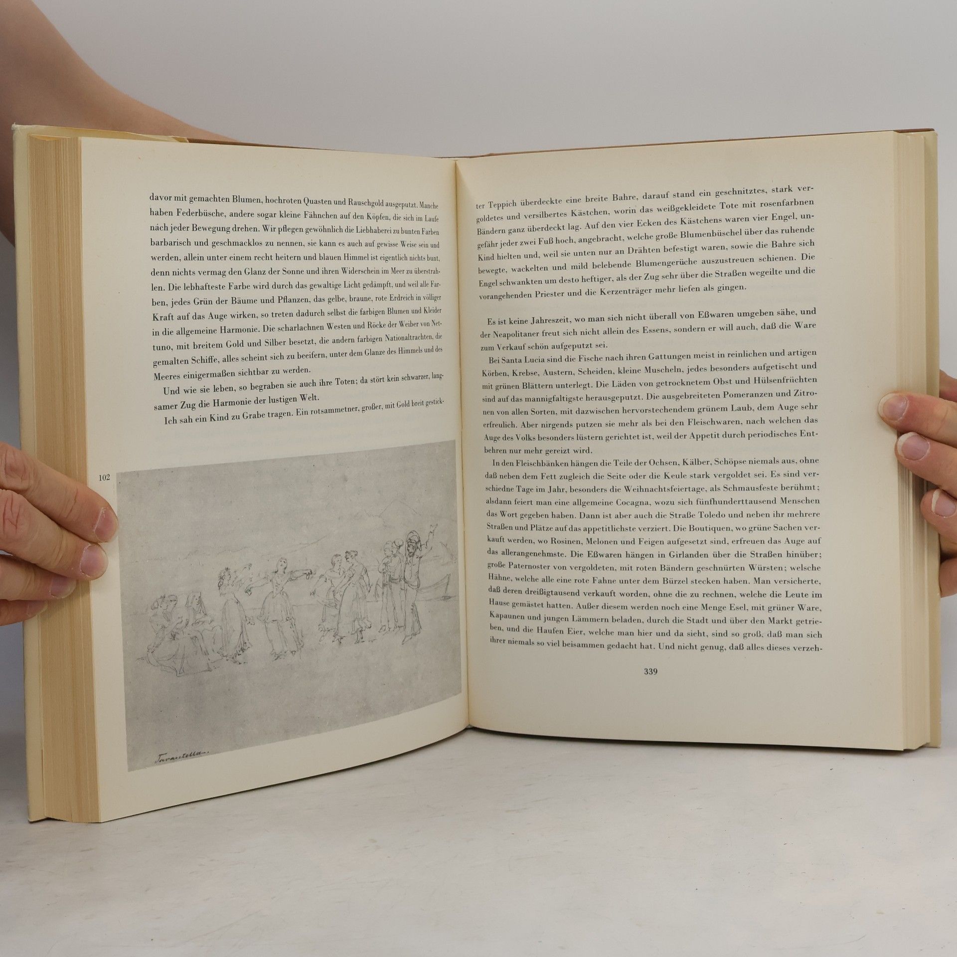 Johann Wolfgang von Goethe Italienische Reise