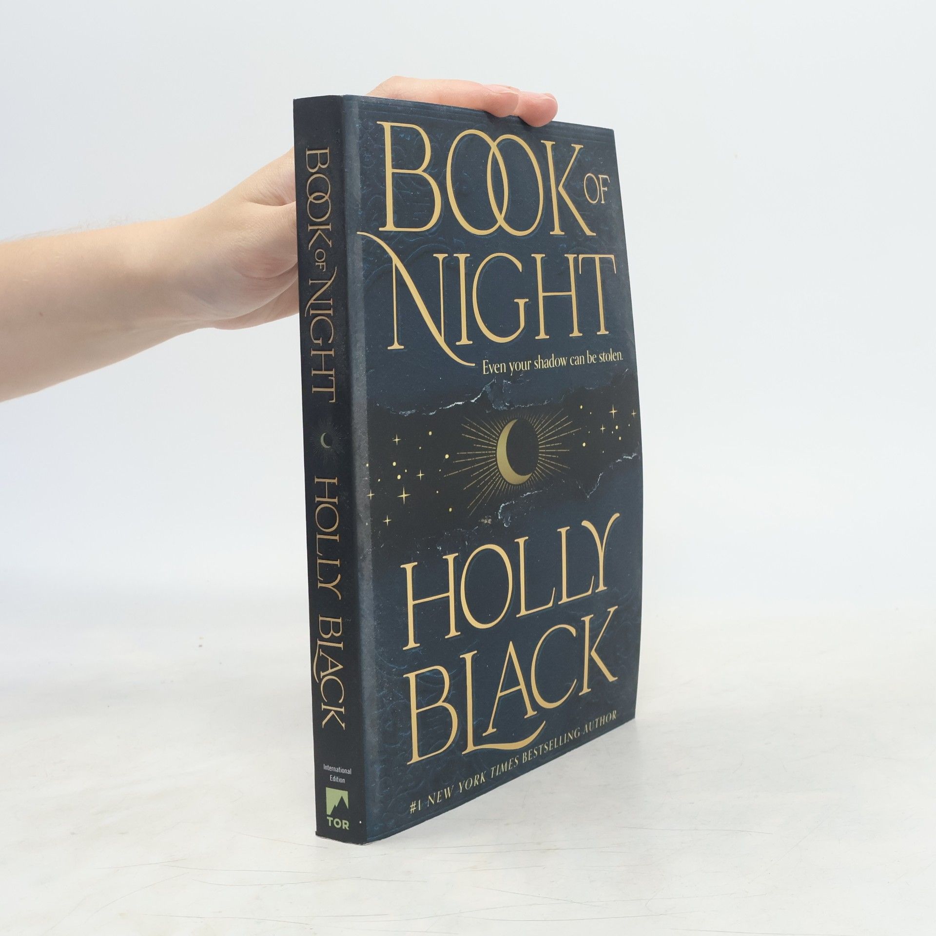 Holly Black Book of Night