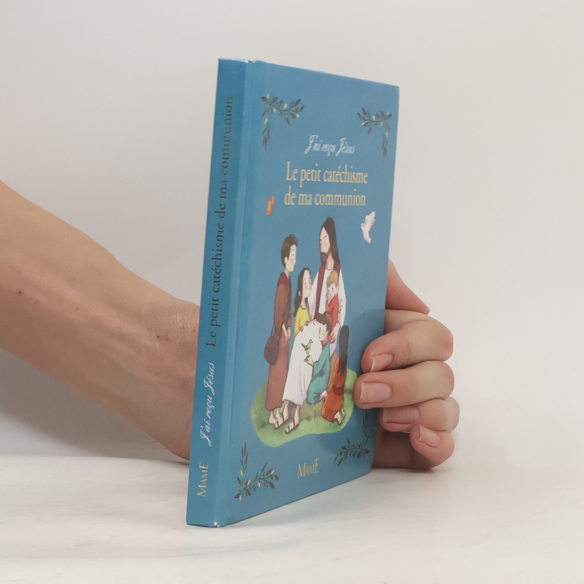 Guillaume de Menthière Le petit catéchisme de ma communion: J'ai reçu Jésus