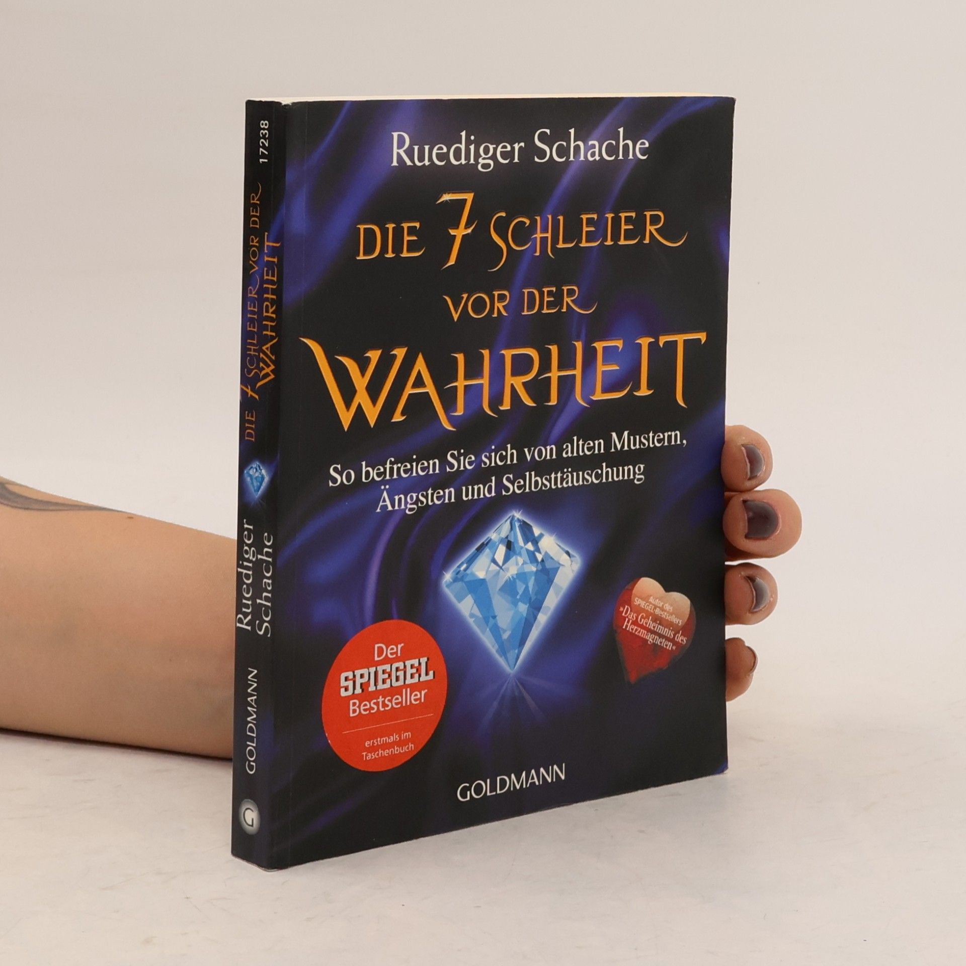 Ruediger Schache Die 7 Schleier vor der Wahrheit