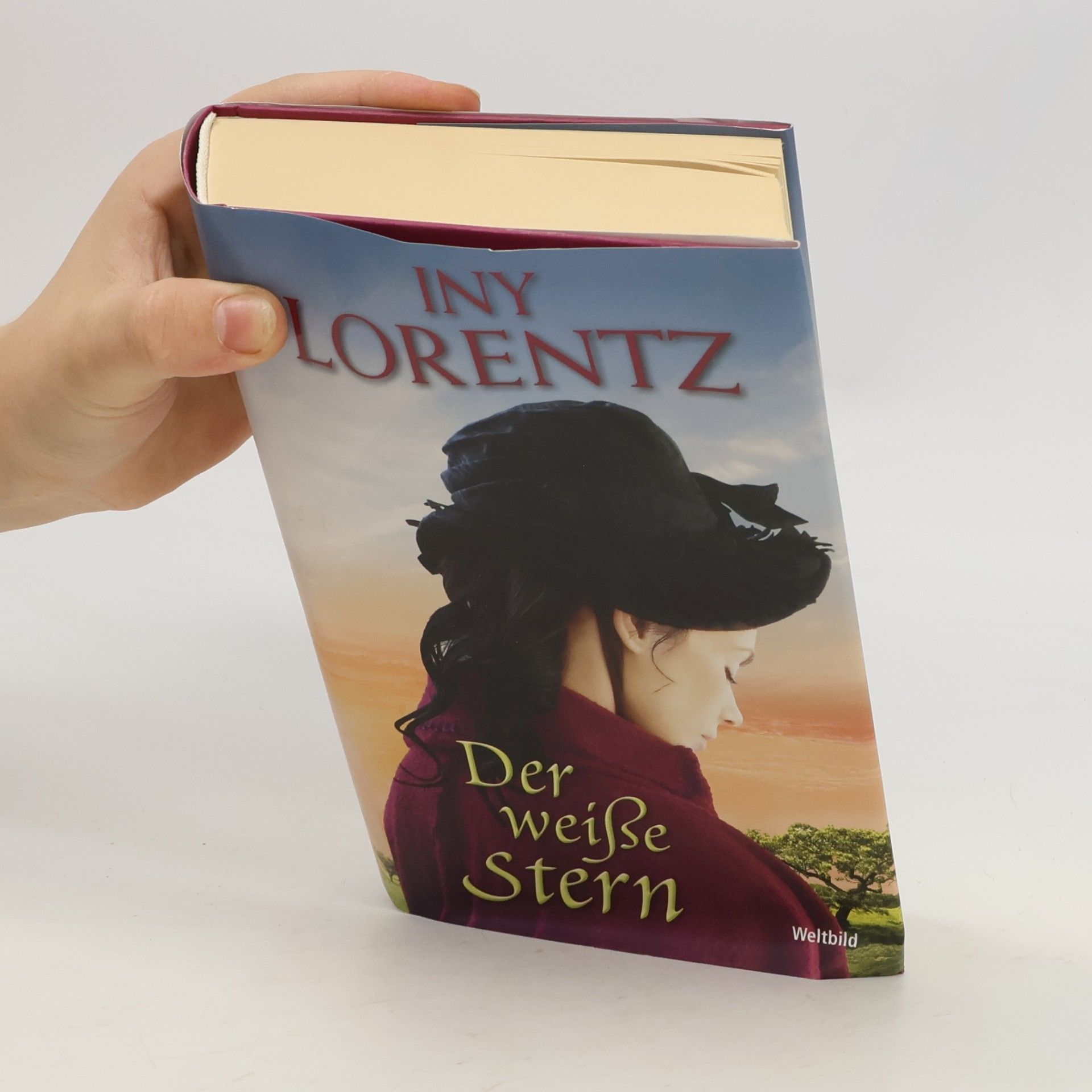 Iny Lorentz Der weiße Stern