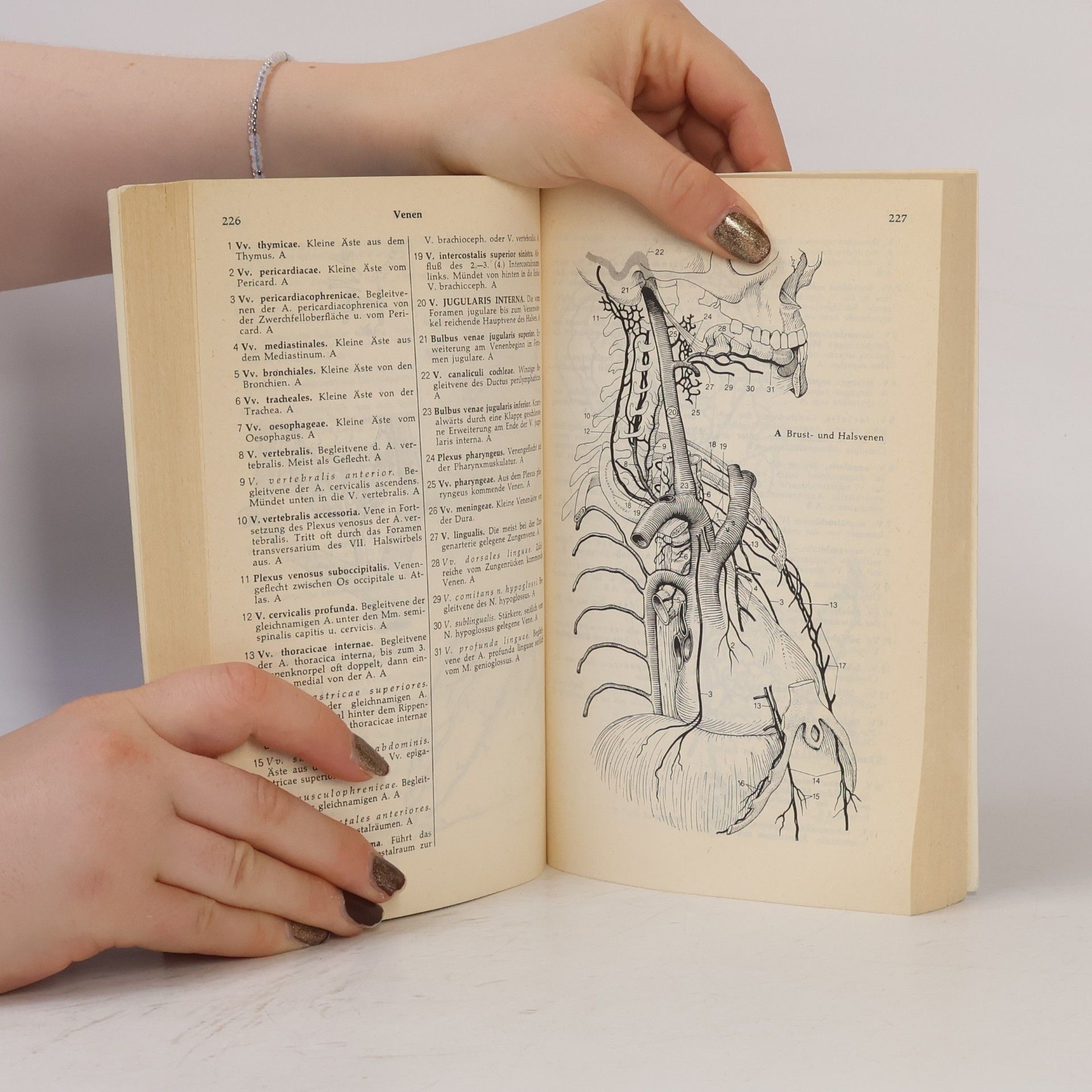 Heinz Feneis Anatomisches Bildwörterbuch
