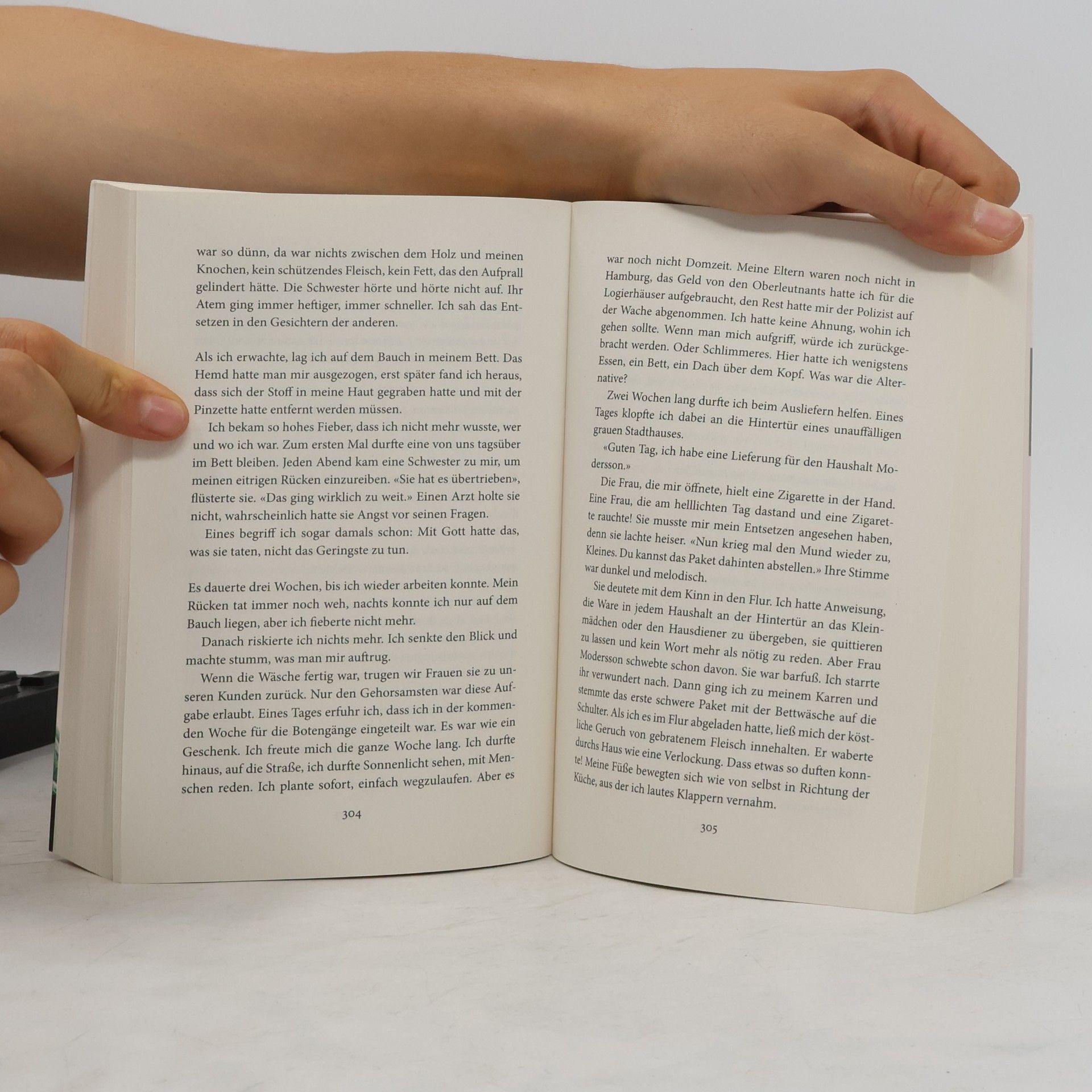 Miriam Georg Im Nordlicht / Nordwind-Saga Bd.2