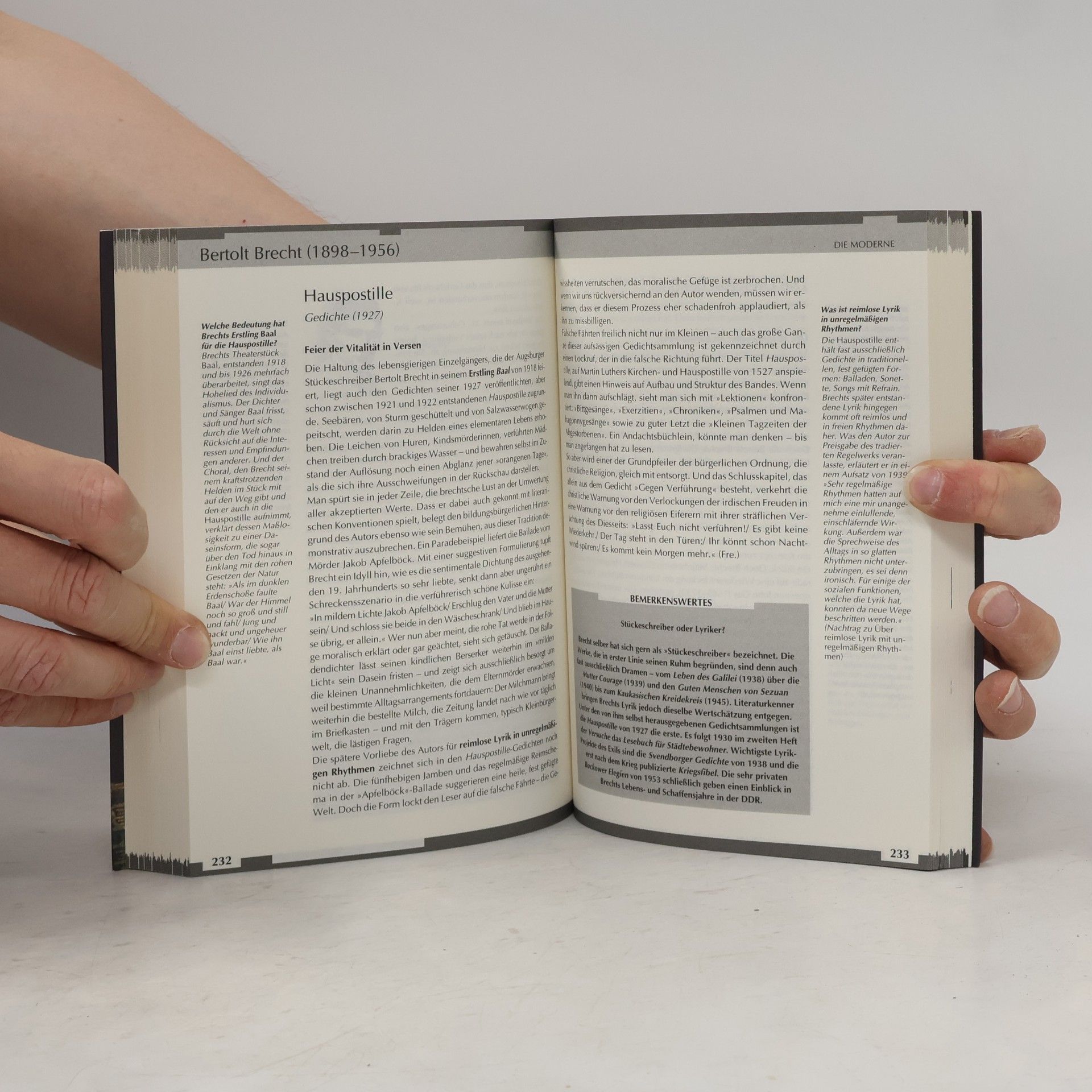 Dieter Lamping Werke der Weltliteratur