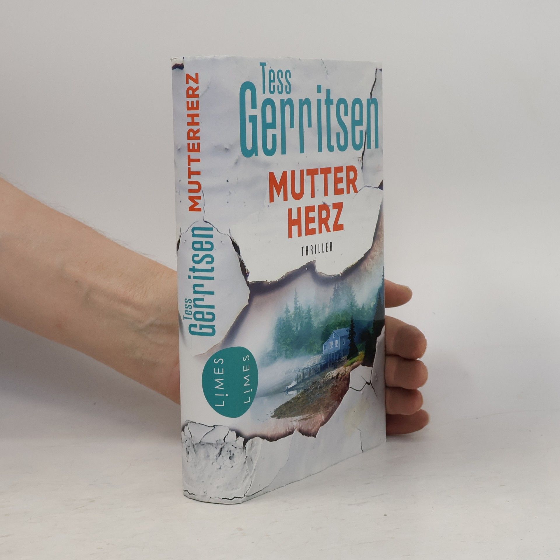Tess Gerritsen Mutterherz